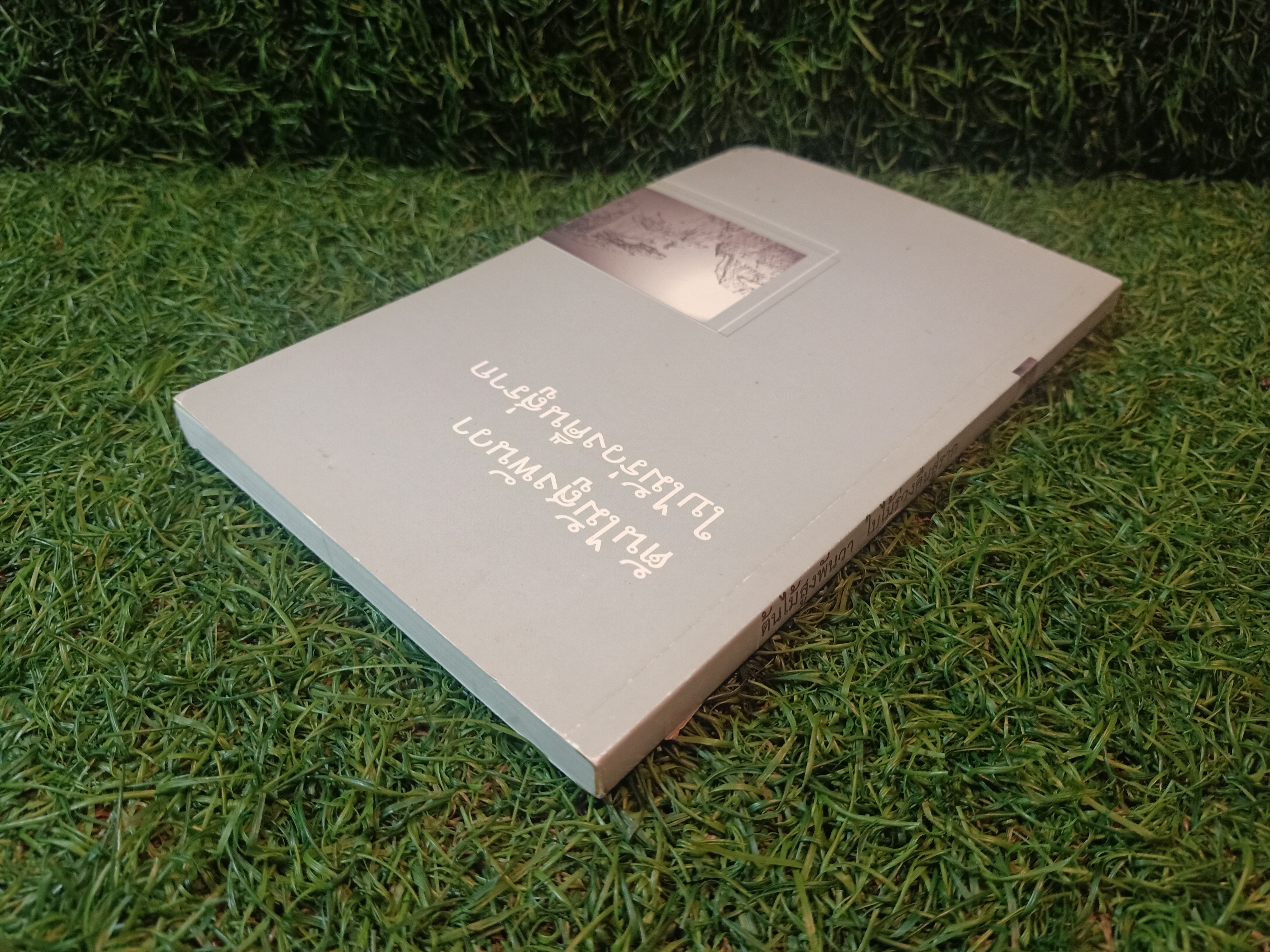 ต้นไม้สูงพันวา ใบไม้ร่วงคืนสู่ราก / พุทธทาสภิกขุ หลวงปู่บุดดาถาวโร หลวงปู่สิม พุทธาจาโร