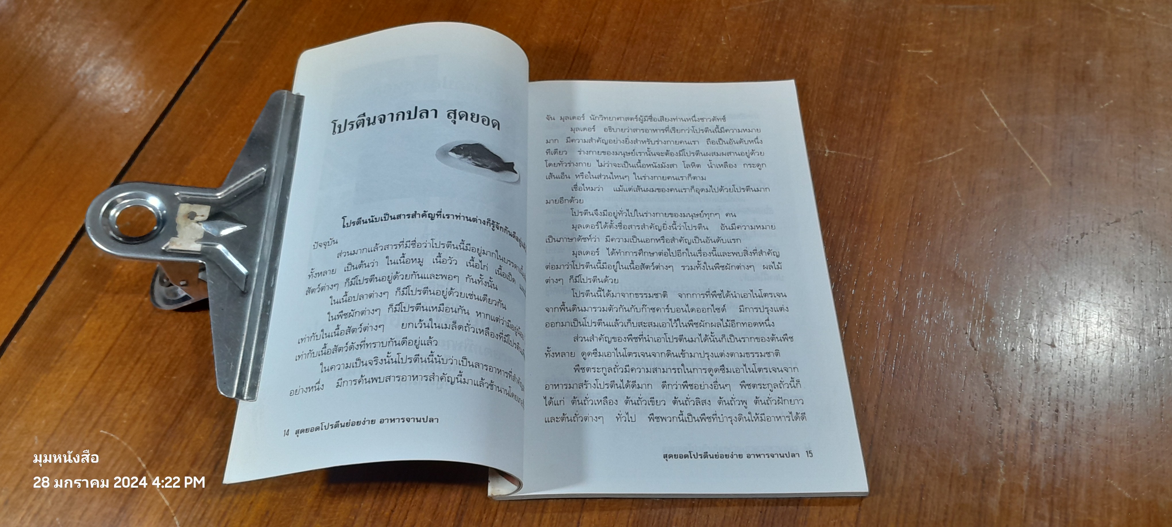 สุดยอดโปรตีนย่อยง่าย อาหารจานปลา / ภาณุทรรศน์