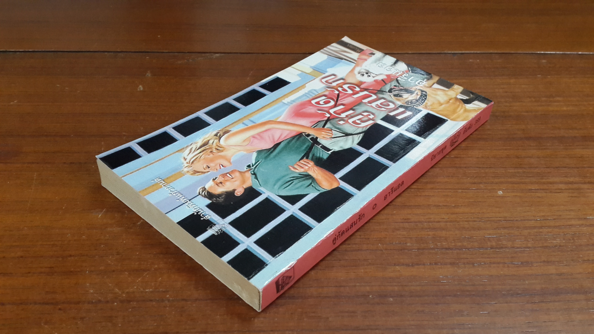 คู่กัดแสนรัก / อารีแอล แปล