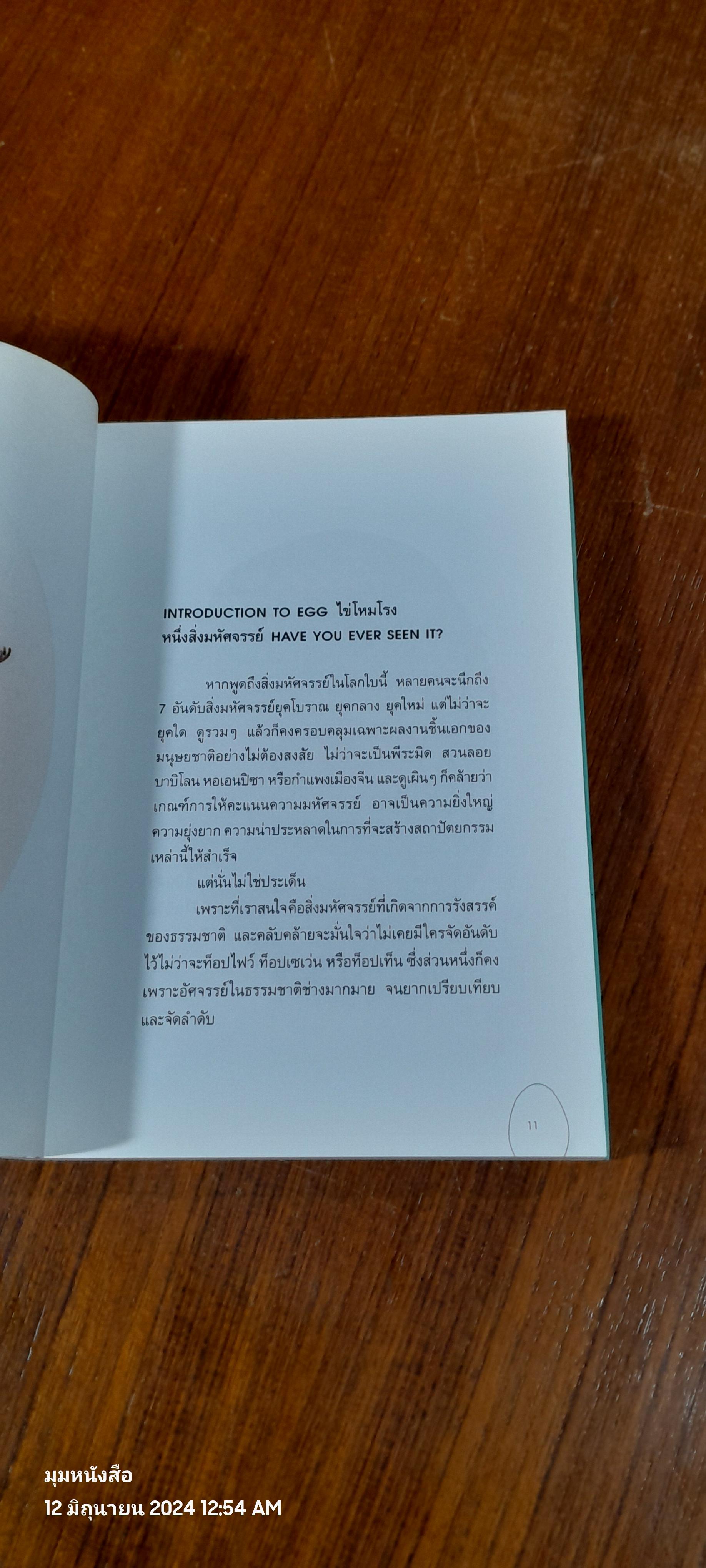 EGG ไข่ / ภิญญา วิชญเธียร