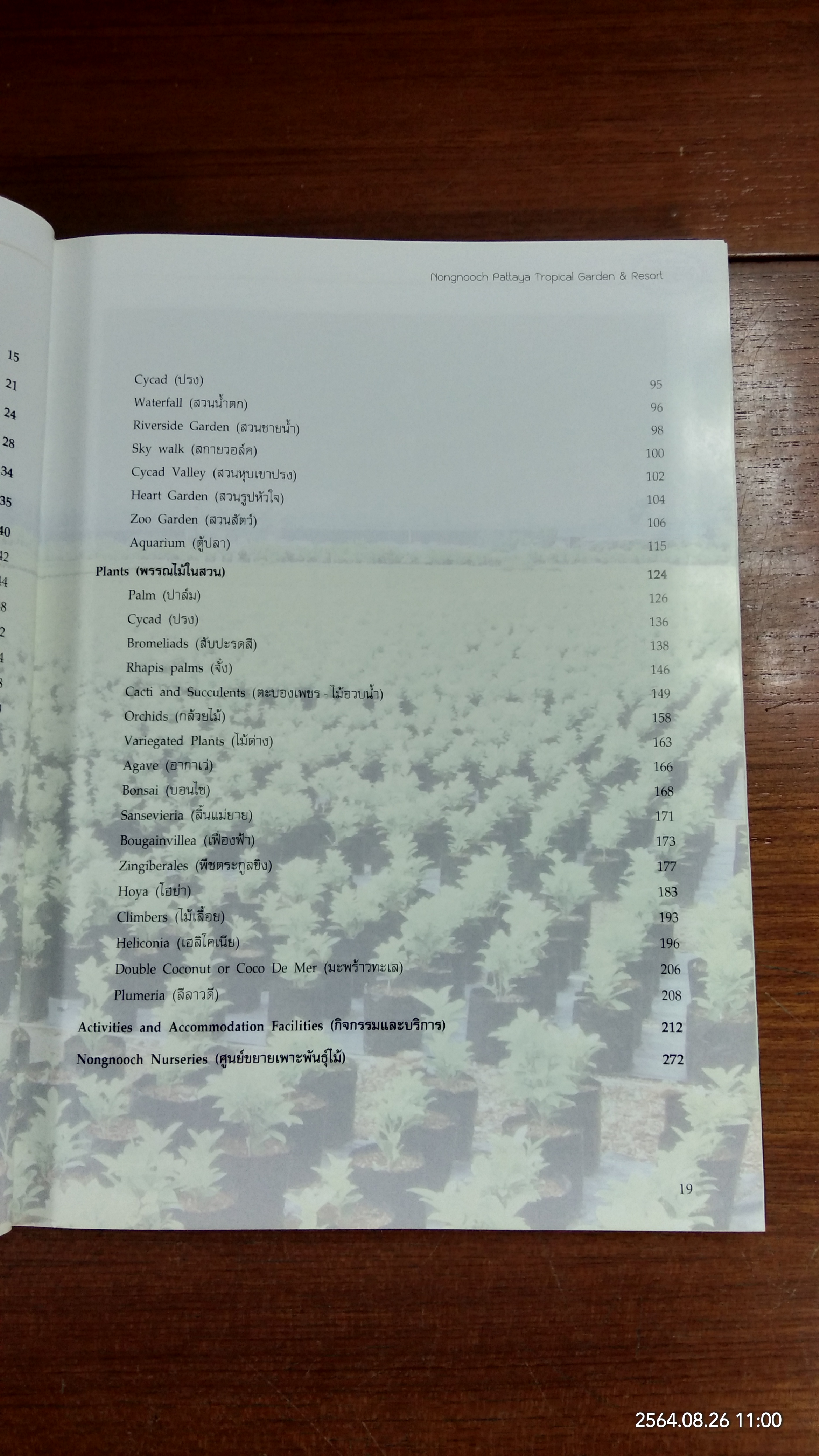 สวนพฤกษศาสตร์นงนุช พัทยา