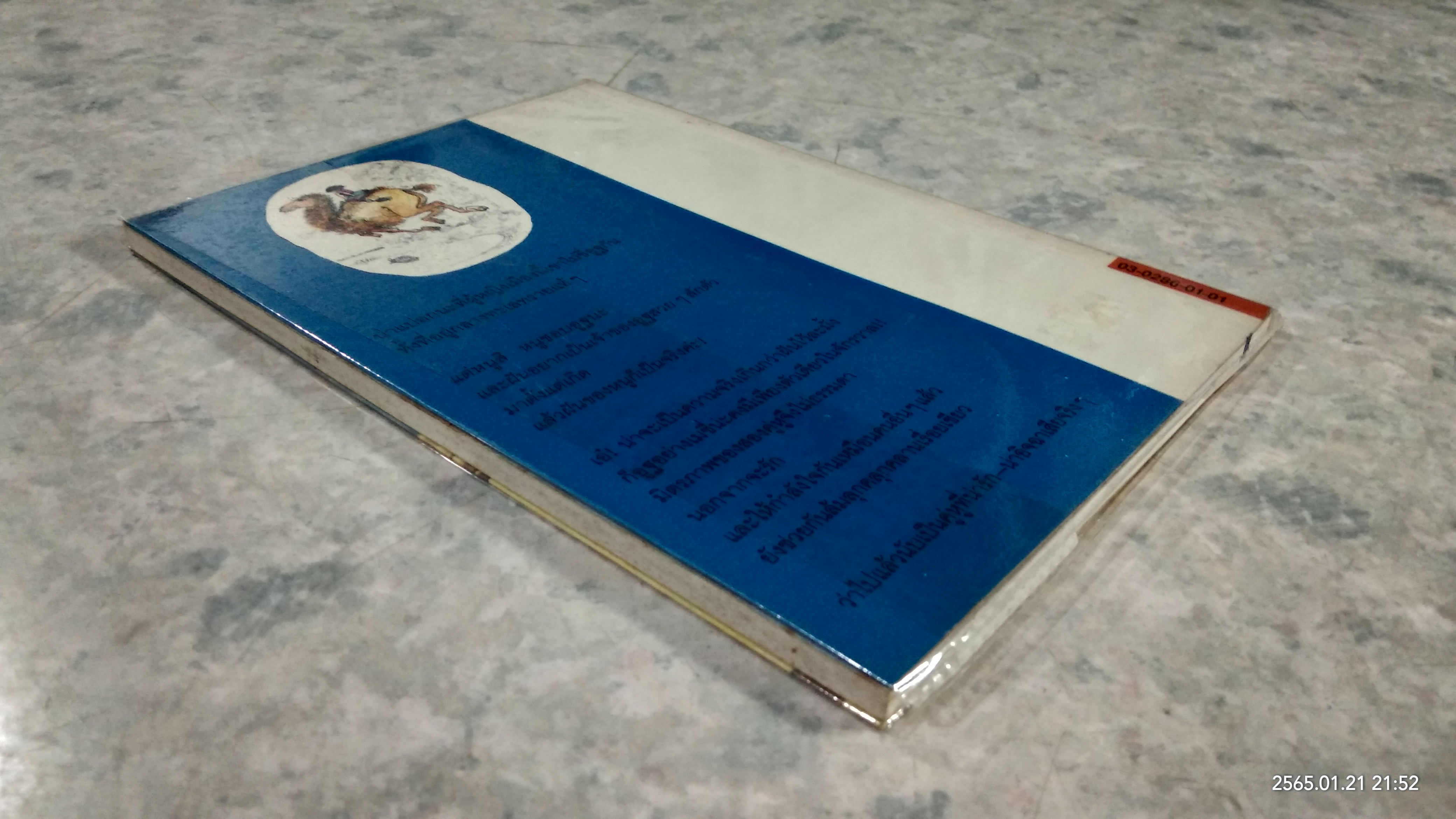 เมซี่...เพื่อนอูฐพูดได้ / แอนดรอ ลิงก์ลาเตอร์