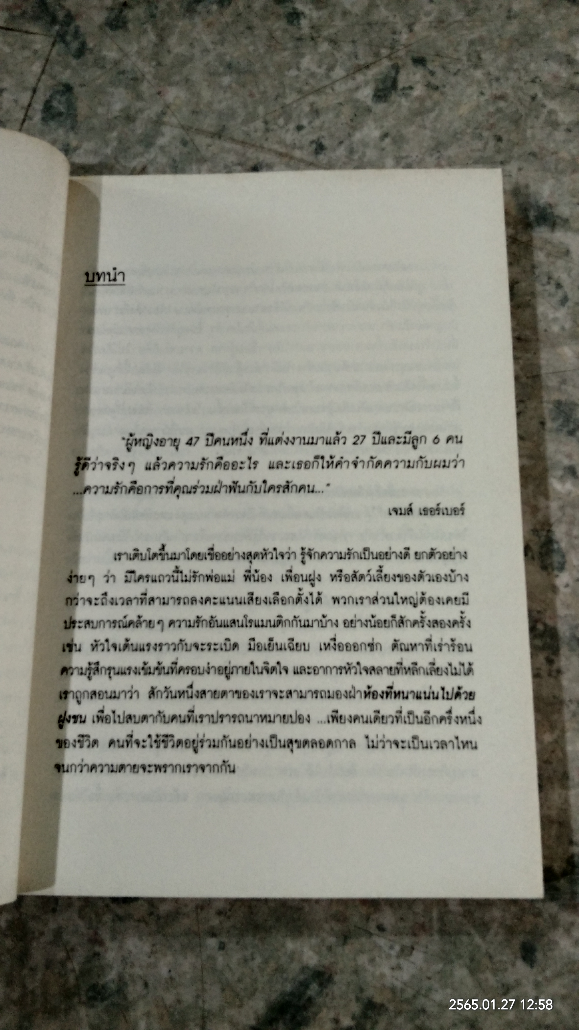 รักทุกวัน...จันทร์ถึงศุกร์ (เสาร์อาทิตย์ยิ่งรักมาก) / Nancy Shulins