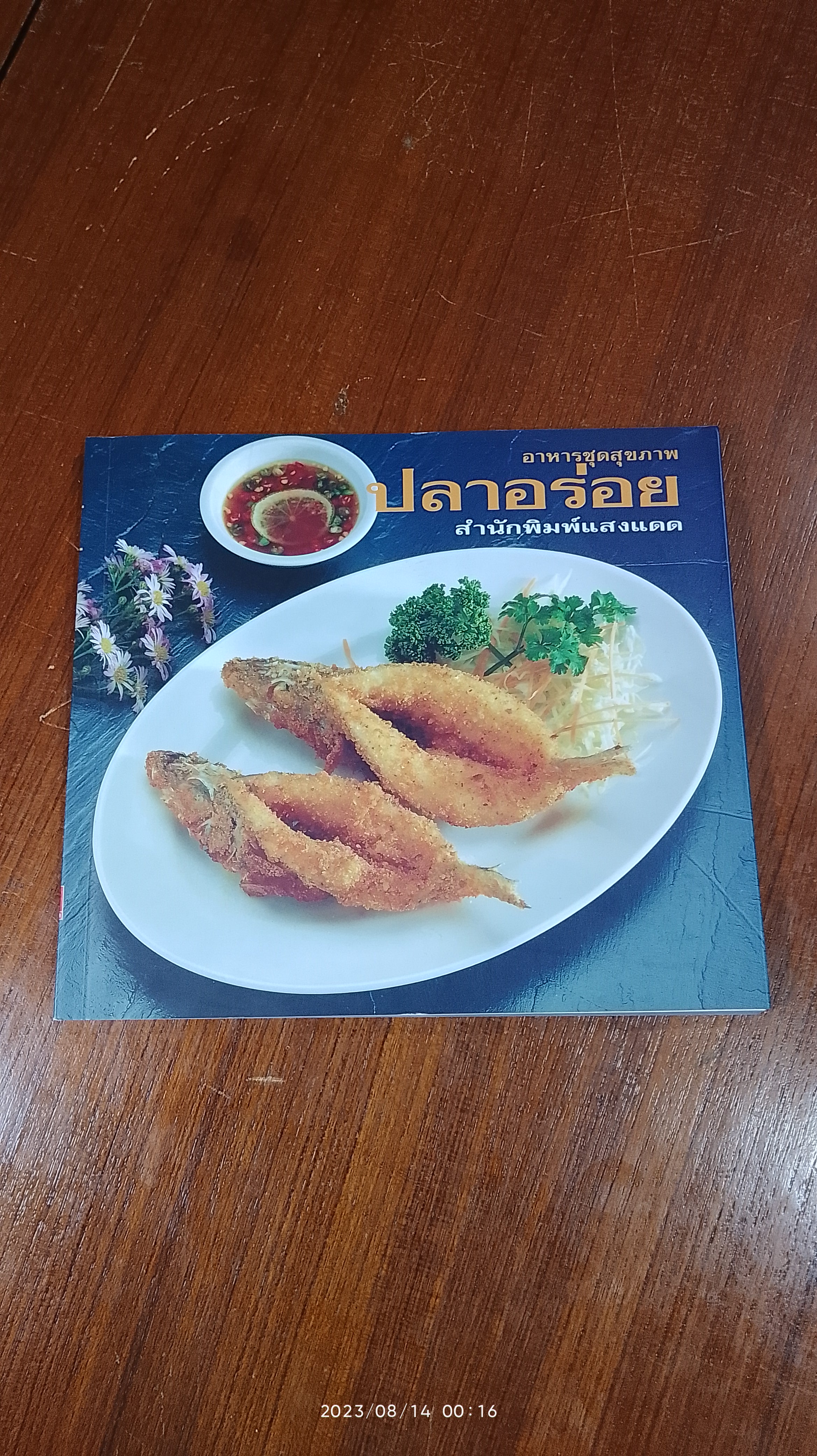 ปลาอร่อย / แสงแดด