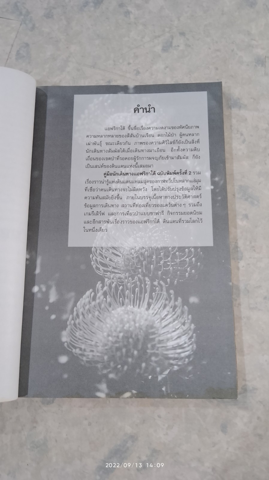 คู่มือนักเดินทาง แอฟริกาใต้