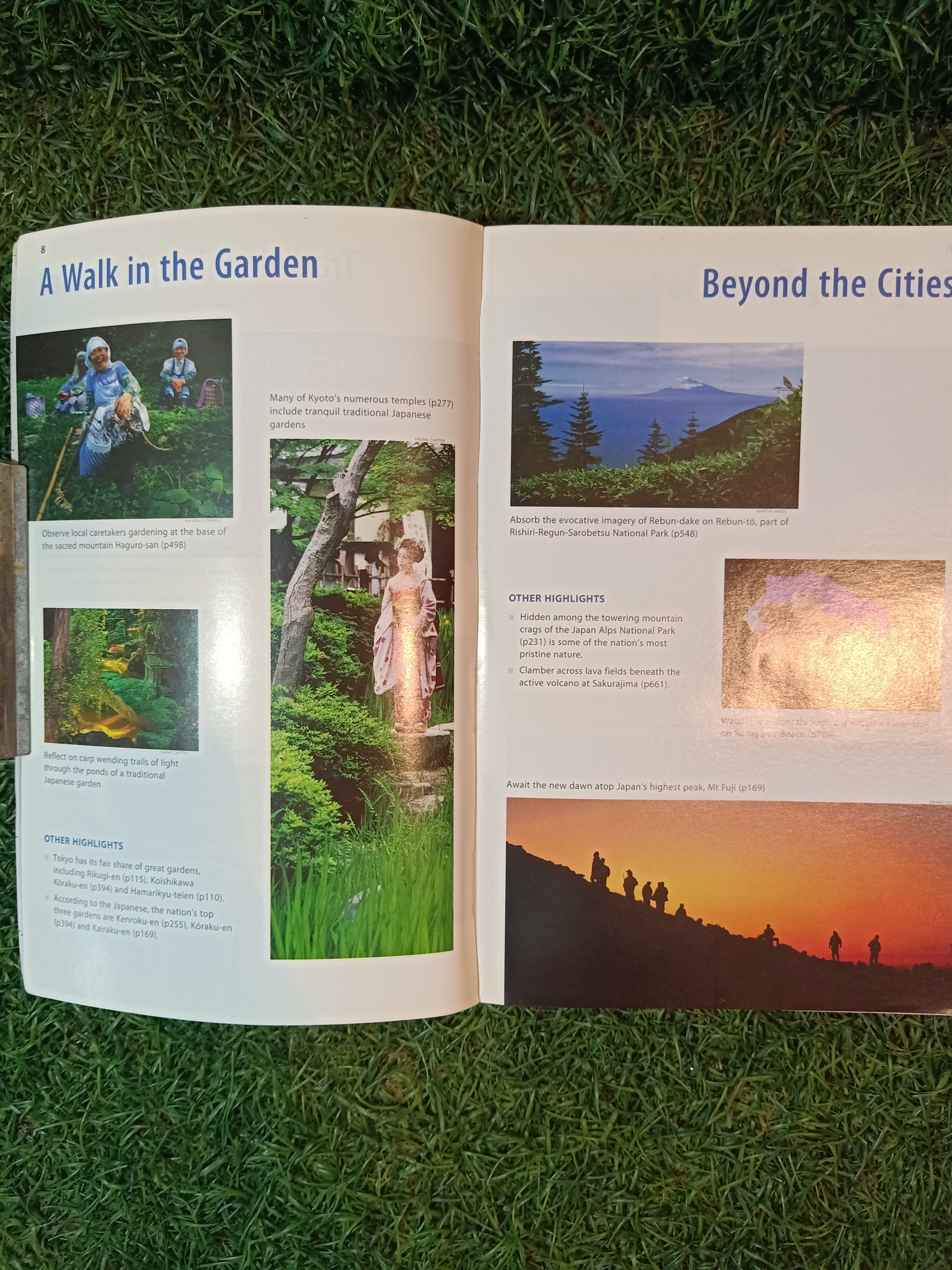 Japan / lonely plenet