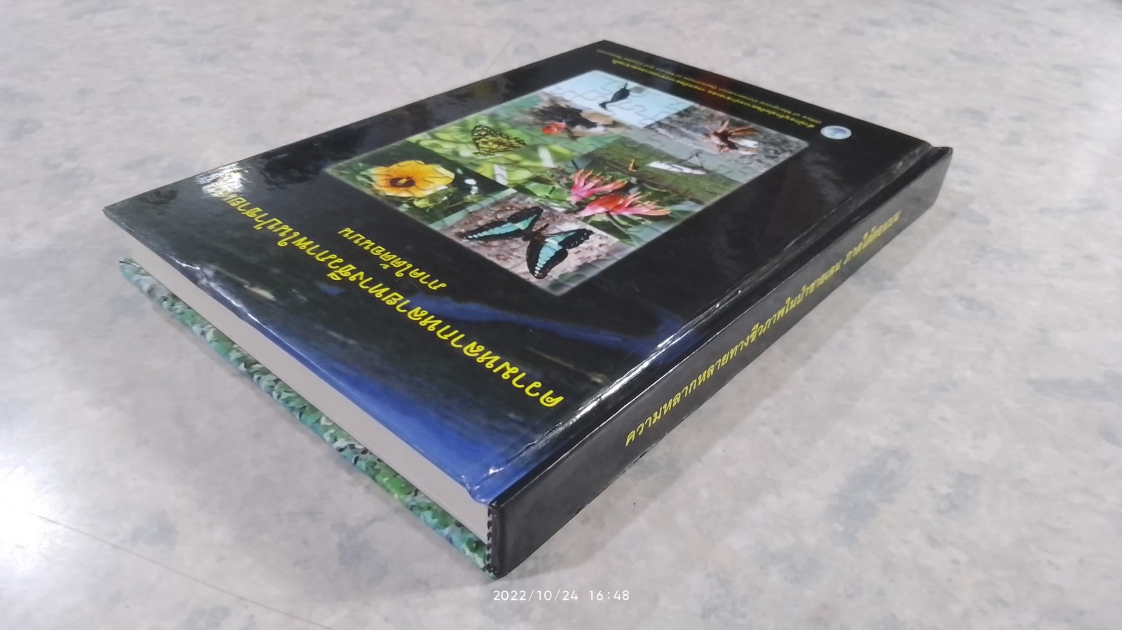 ความหลากหลายทางชีวภาพในป่าชายเลน ภาคใต้ตอนบน