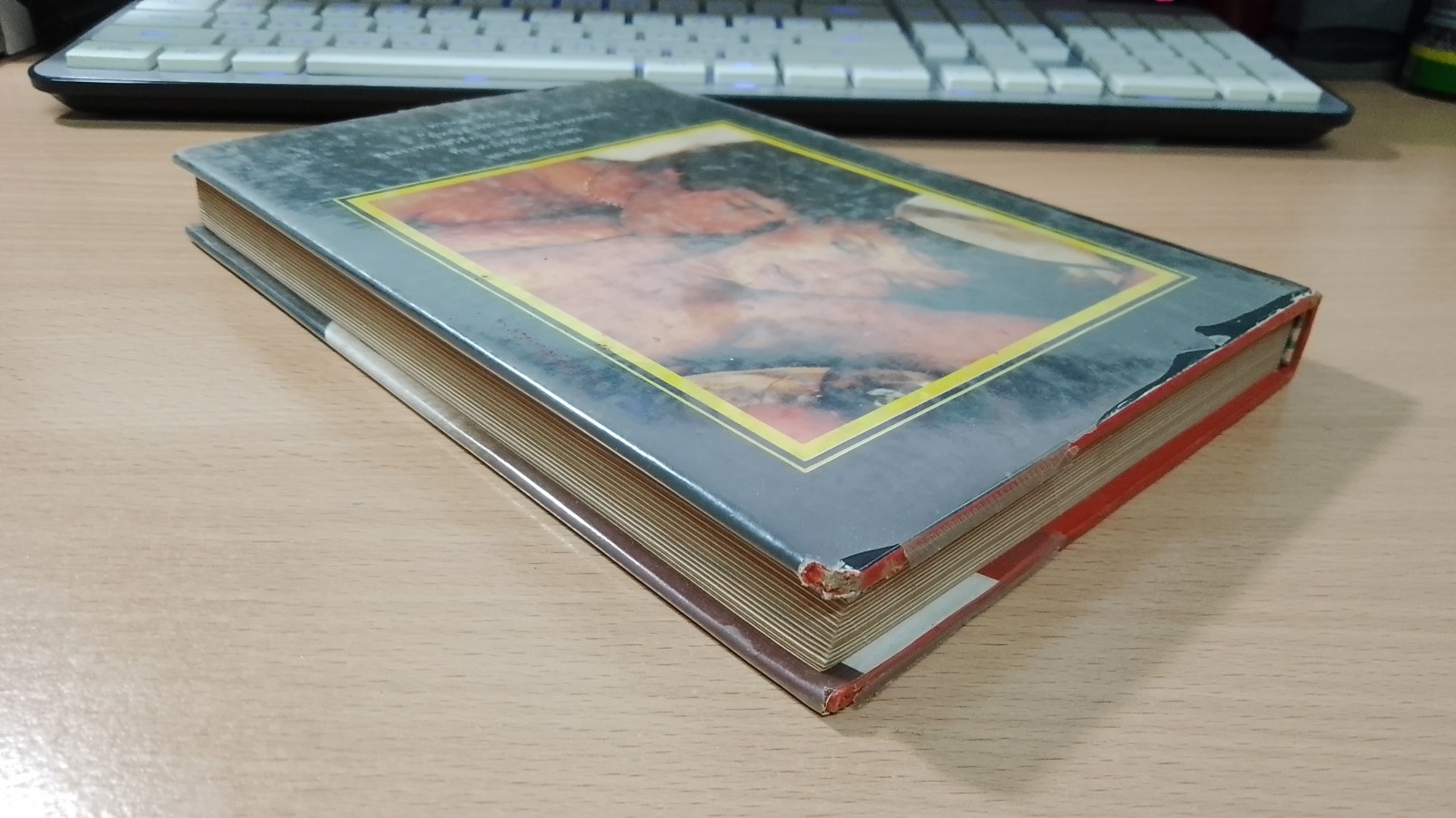 ผู้หญิงไฟฟ้าแรงสูง / นพ.นพพร แปล