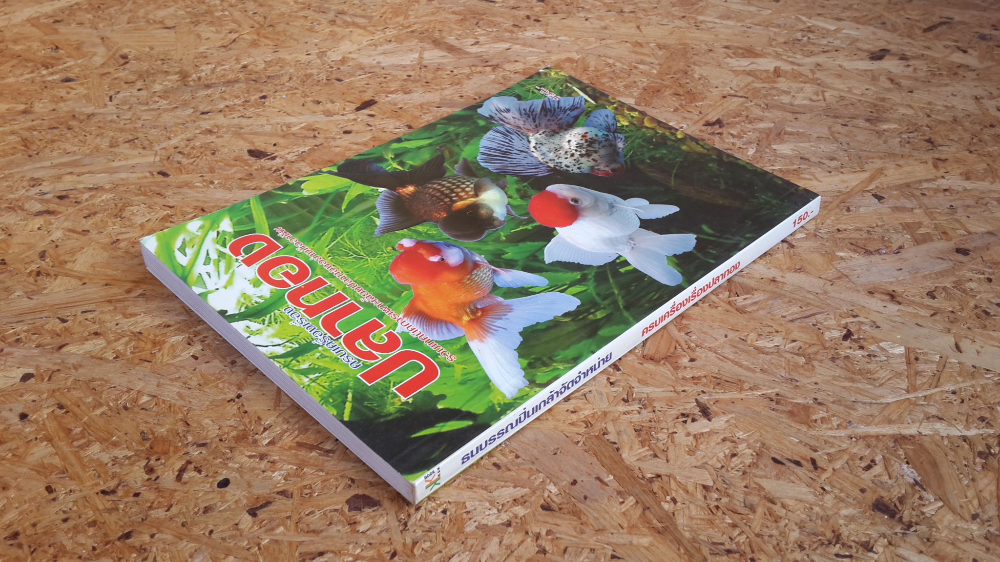 ครบเครื่องเรื่องปลาทอง