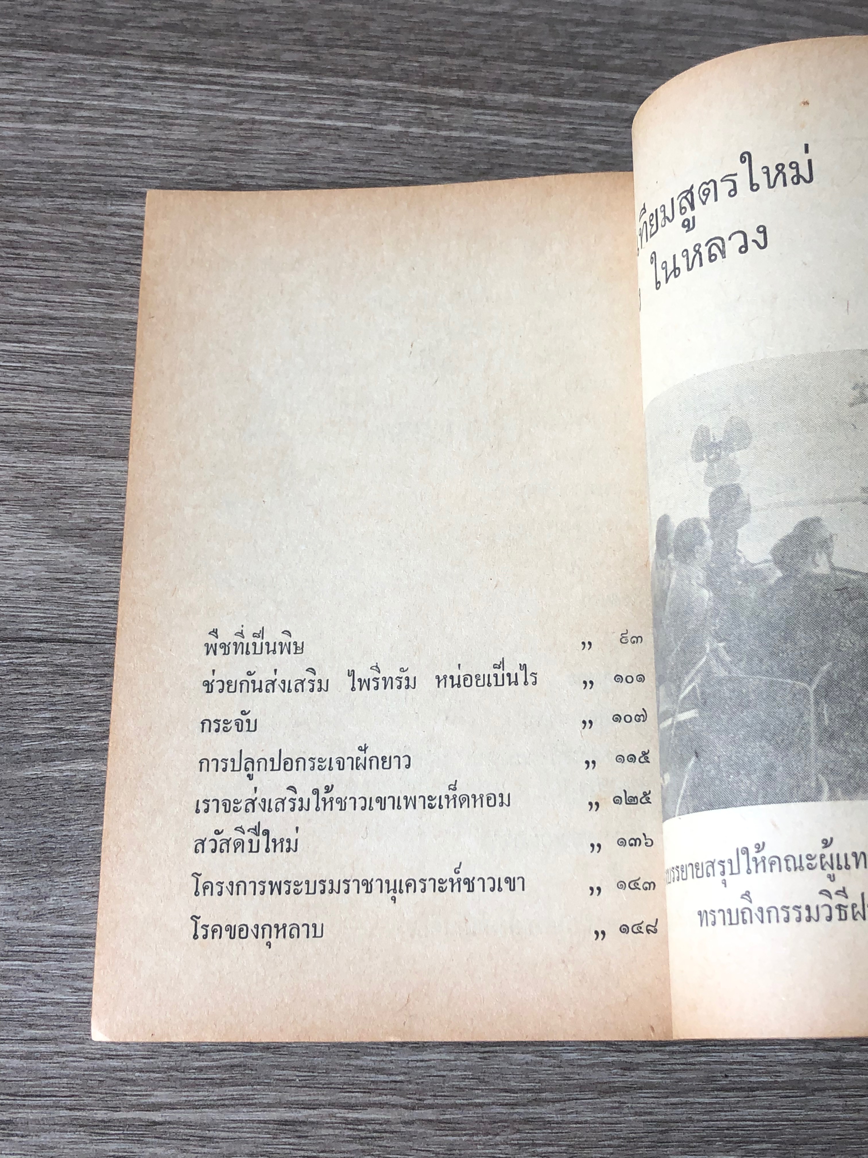 ต้นไม้ - ใบหญ้า / สถาปัตย์ ปรีดา