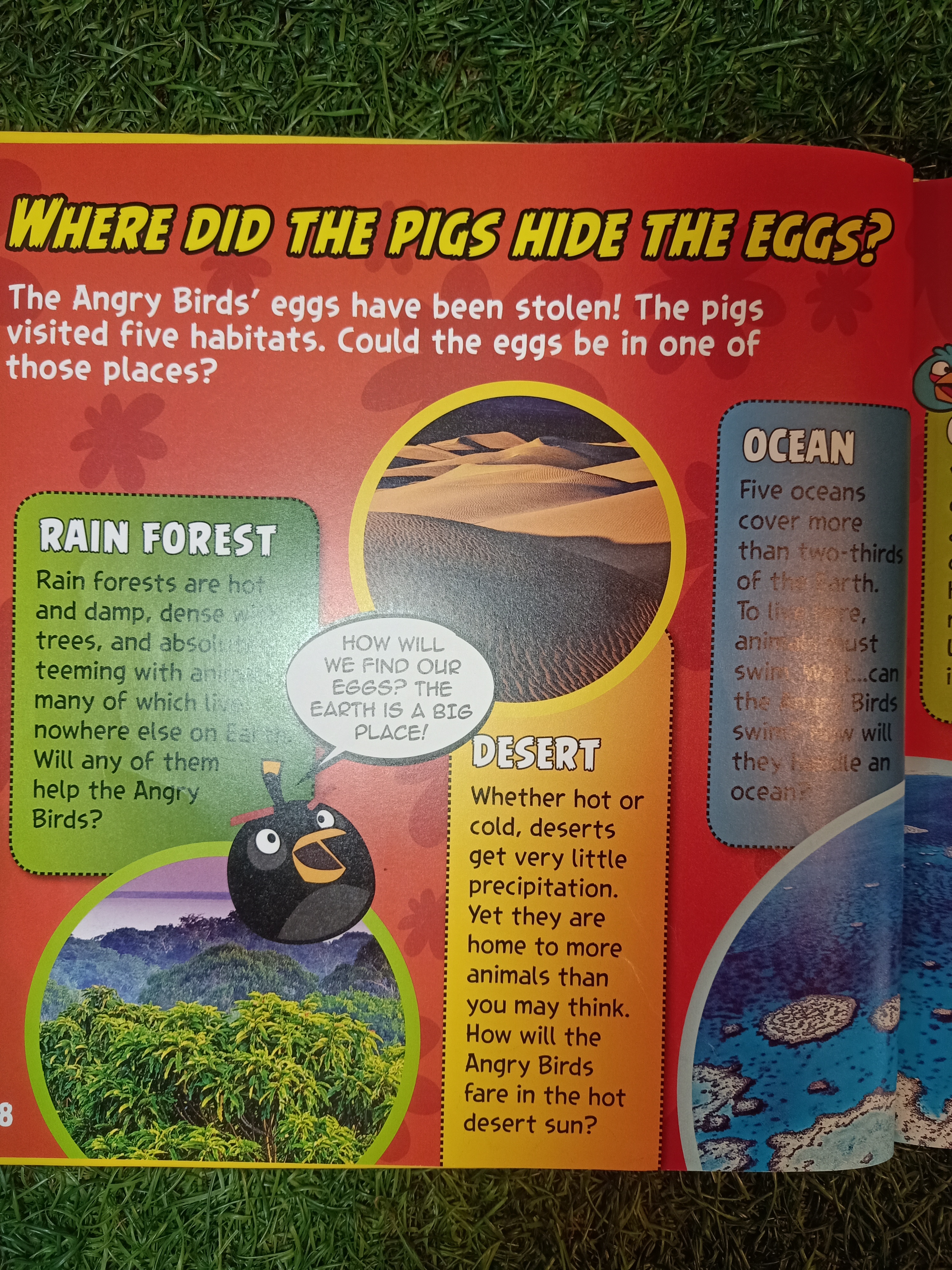 ANGRY BIRDS PLAYGROUND (ANIMALS) / NATIONAL GEOGRAPHIC