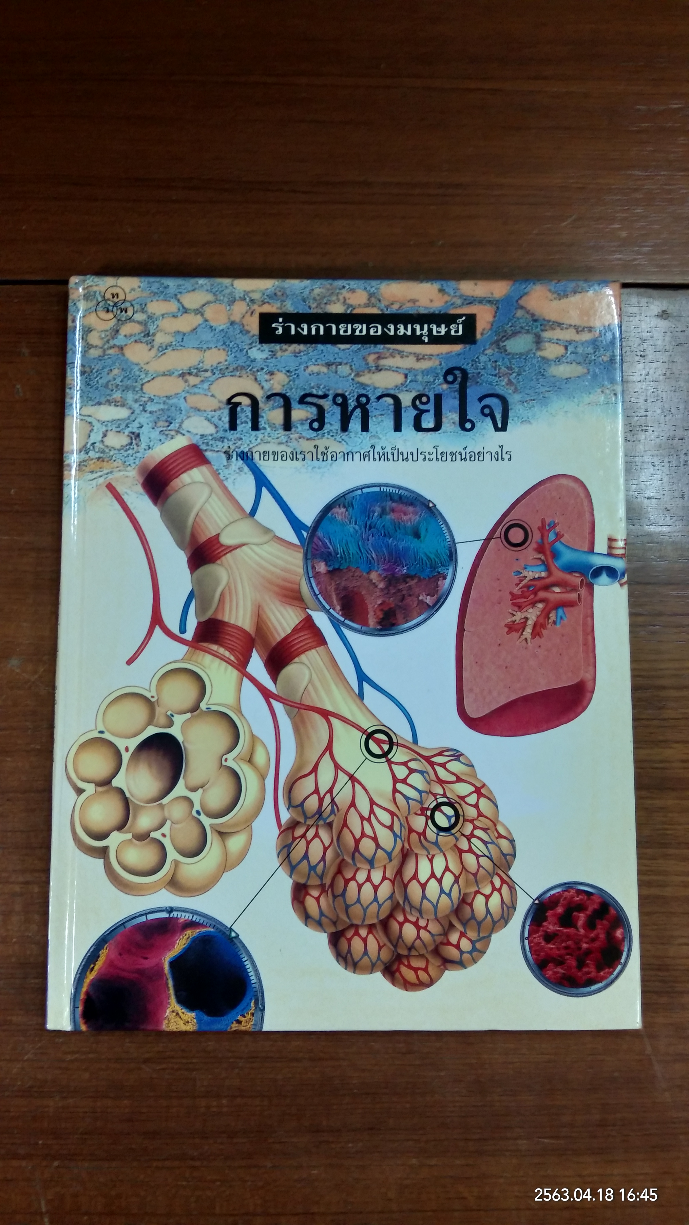 ร่างกายของมนุษย์ 5 การหายใจ / จินนี จอห์นสัน