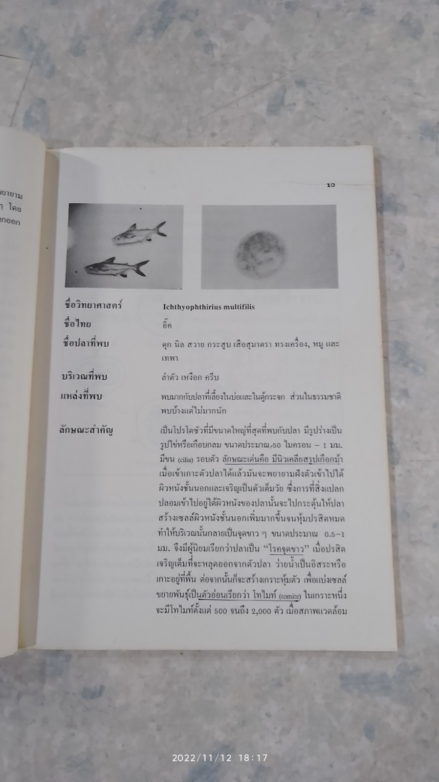 ปรสิตปลาน้ำจืดของไทย / กมลพร ภวภูตานนท์