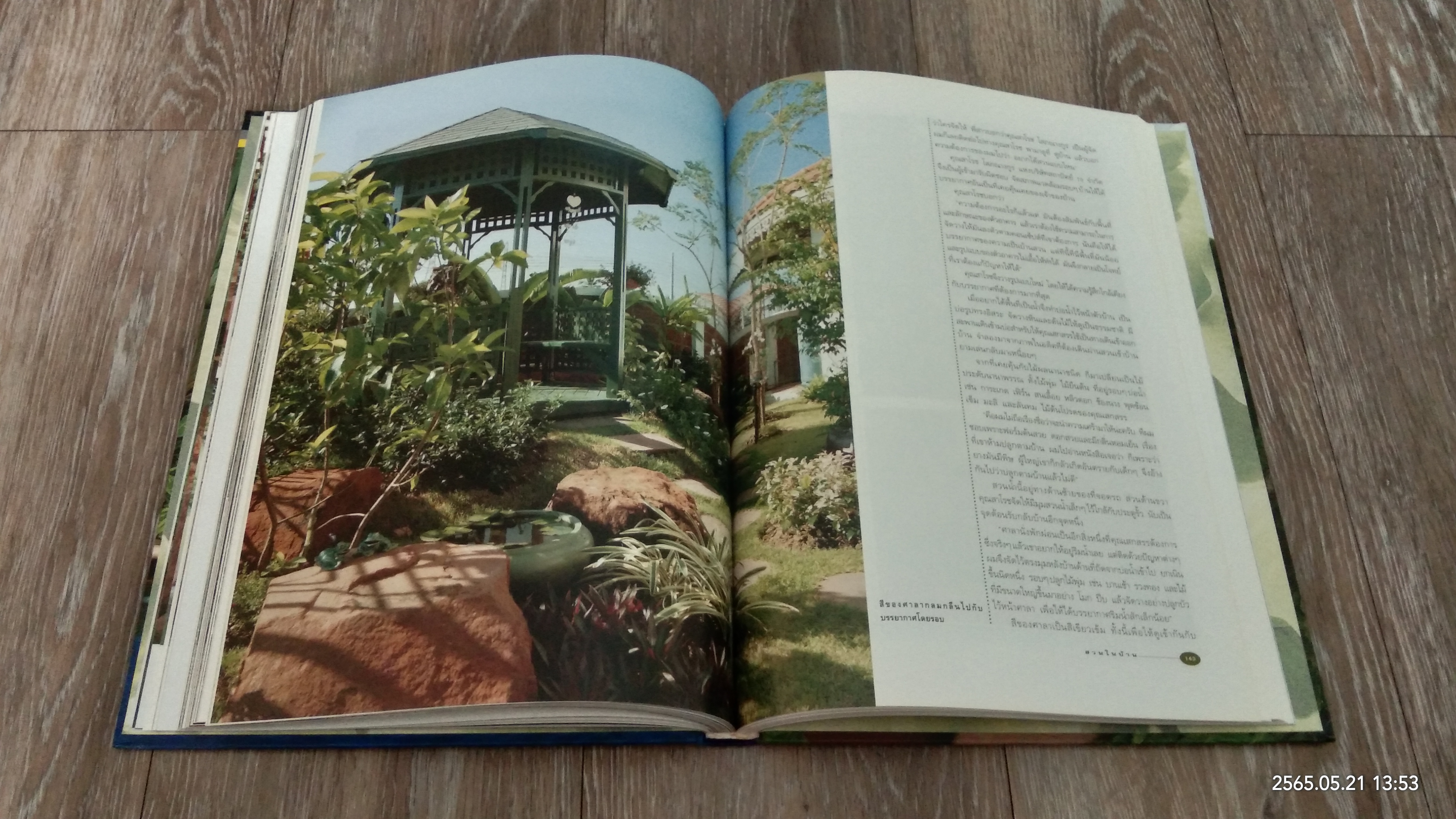 สวนในบ้าน เล่ม 5 : สวนน้ำ 2