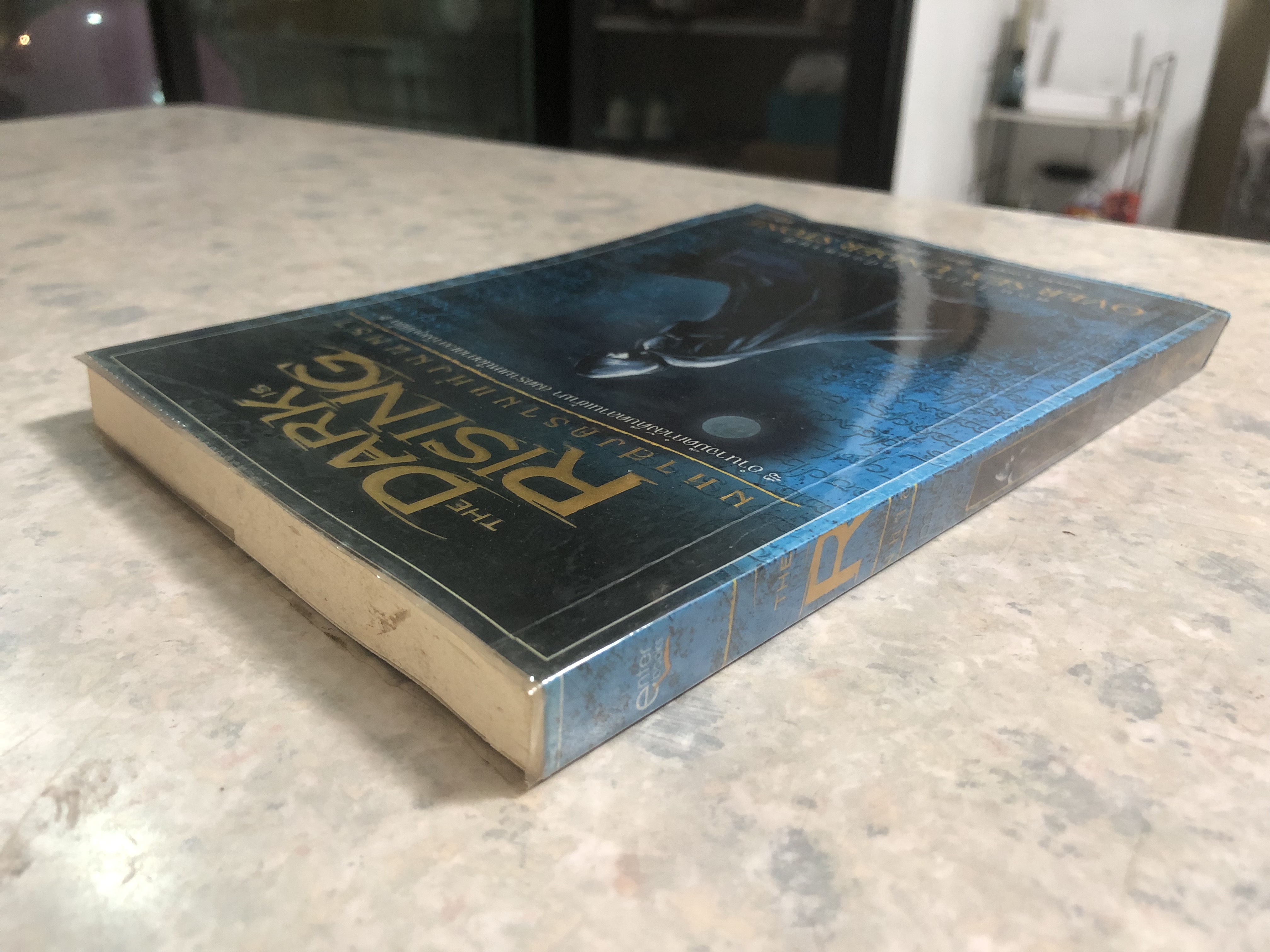 THE DARK IS RISING มหาสงครามแห่งมนตรา เล่ม 1 ตอน ใต้ภูผา เหนือมหานที
