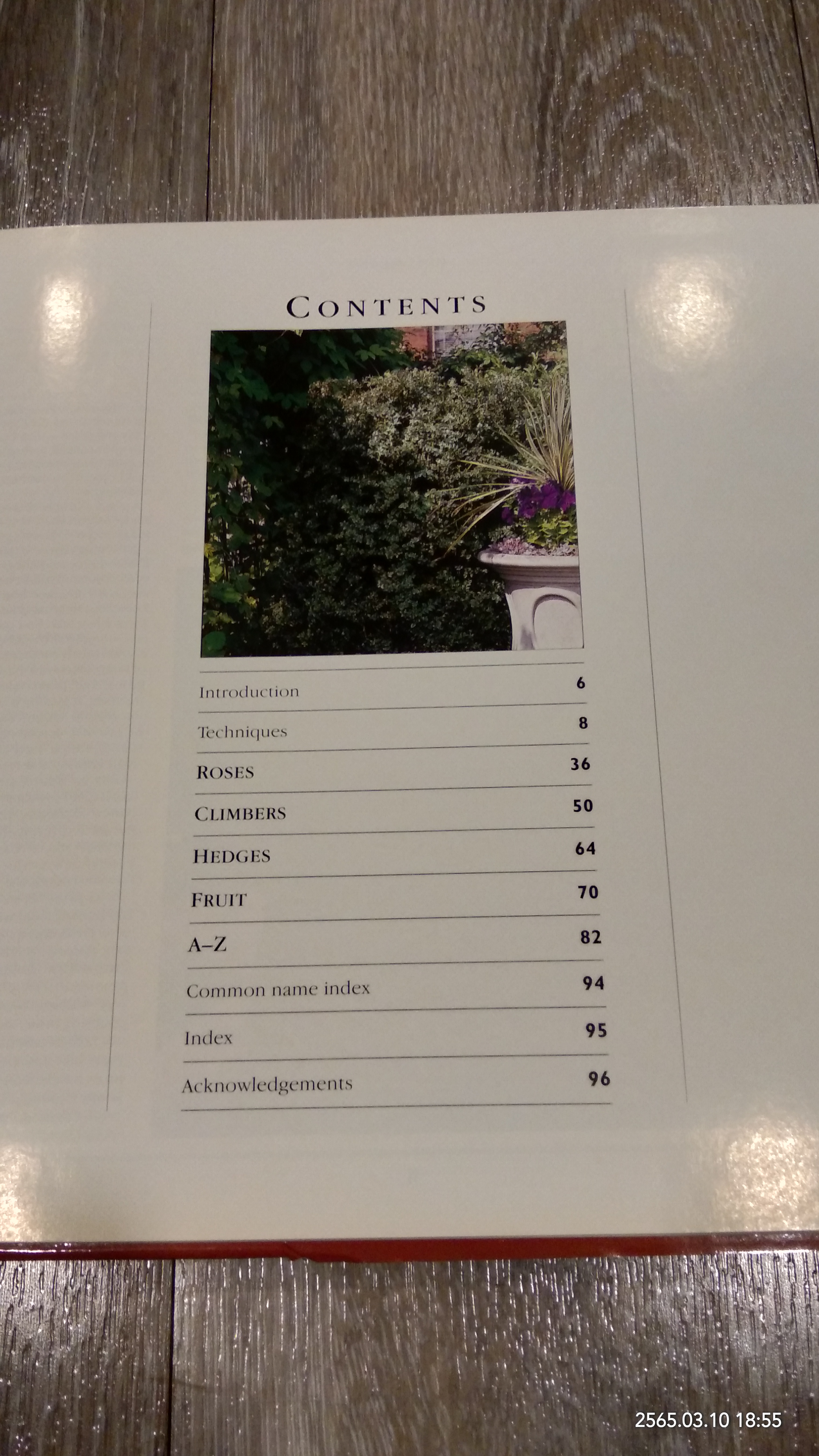 SUCCESSFUL PRUNING / PETER MCHOY