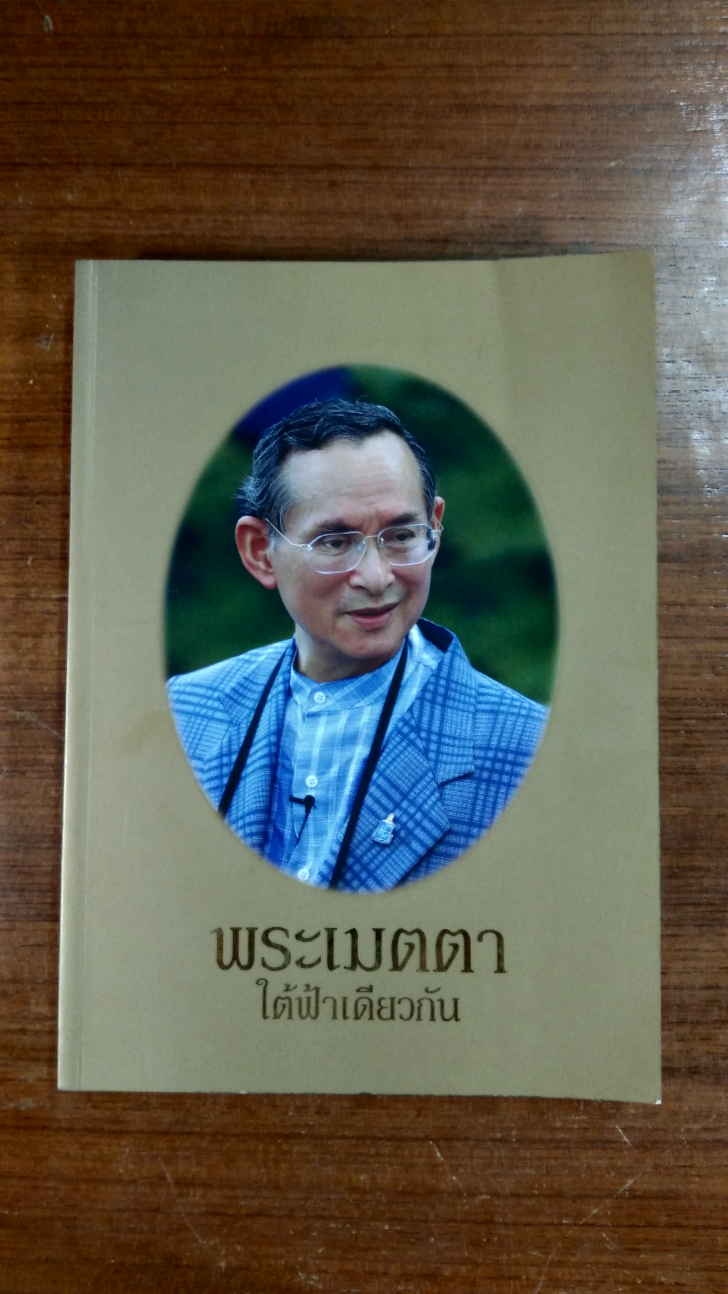 พระเมตตาใต้ฟ้าเดียวกัน