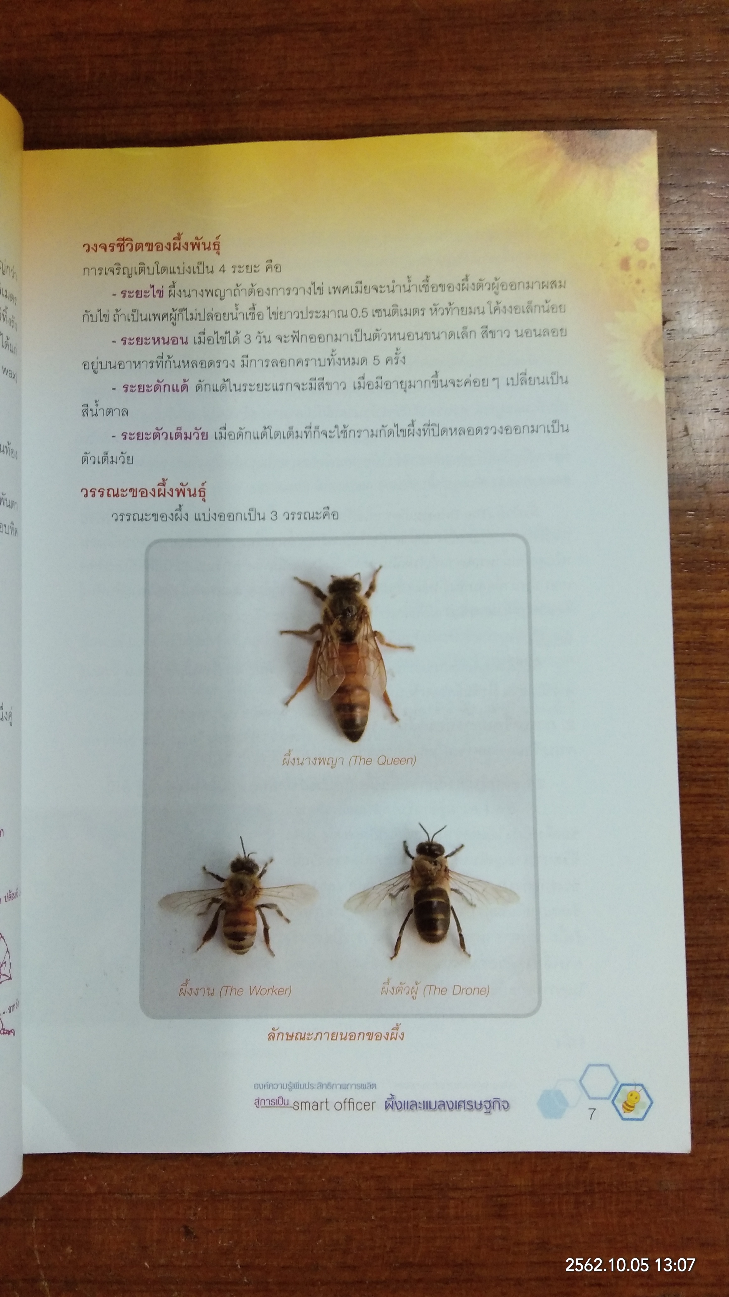 องค์ความรู้เพิ่มประสิทธิภาพการผลิต สู้การเป็น smart ifficer : ผึ้งและแมลงเศรษฐกิจ / กรมส่งเสริมการเกษตร