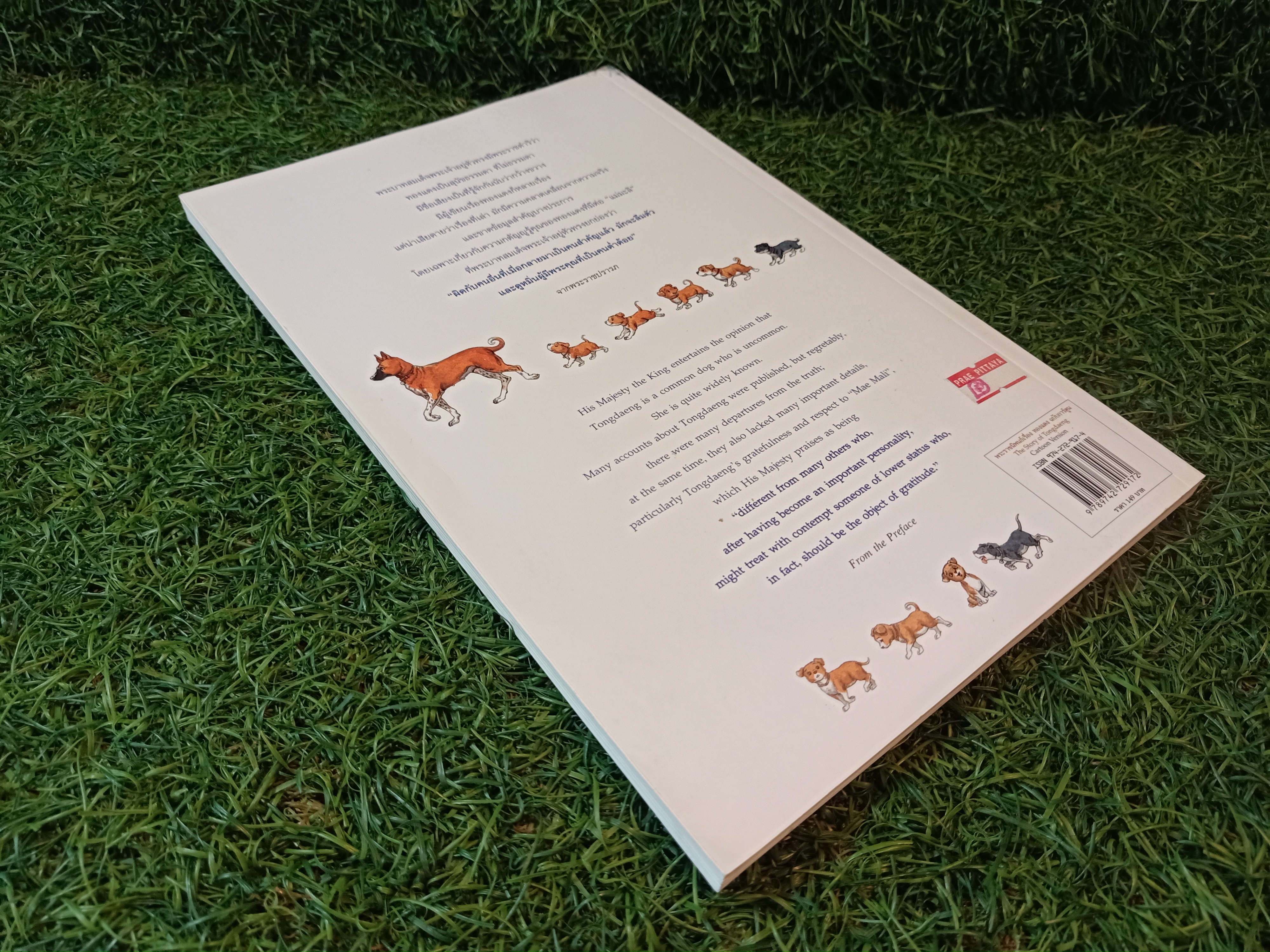 พระราชนิพนธ์เรื่อง ทองแดง ฉบับการ์ตูน / พระราชนิพนธ์ พระบาทสมเด็จพระเจ้าอยู่หัวภูมิพลอดุลยเดชฯ