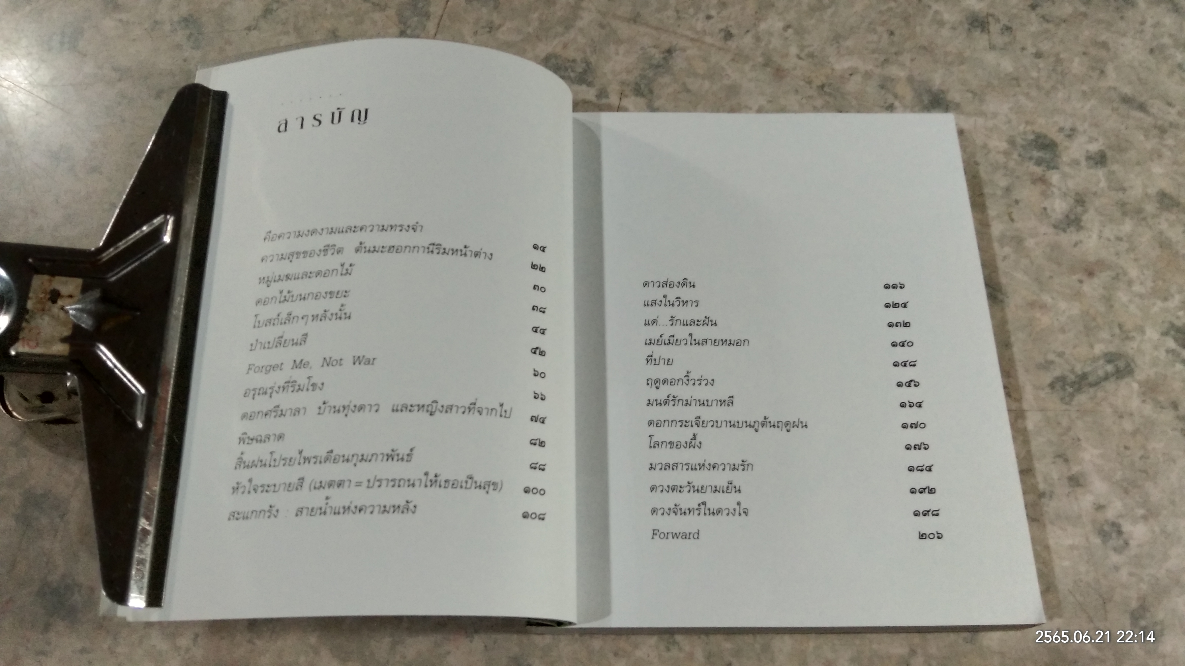 เดินทางข้างใน / โดม วุฒิชัย