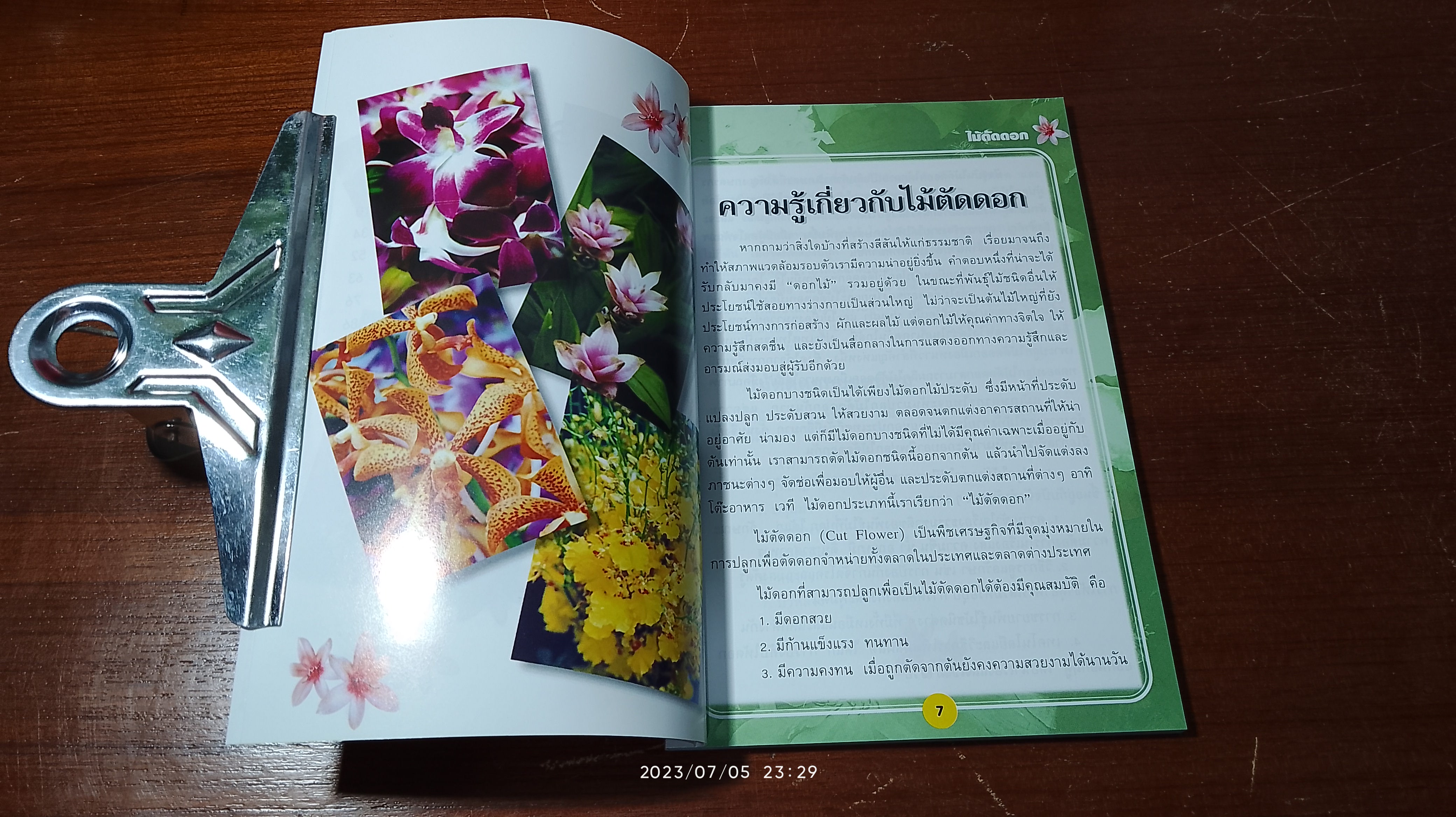 ไม้ตัดดอก / วรรณา แต้