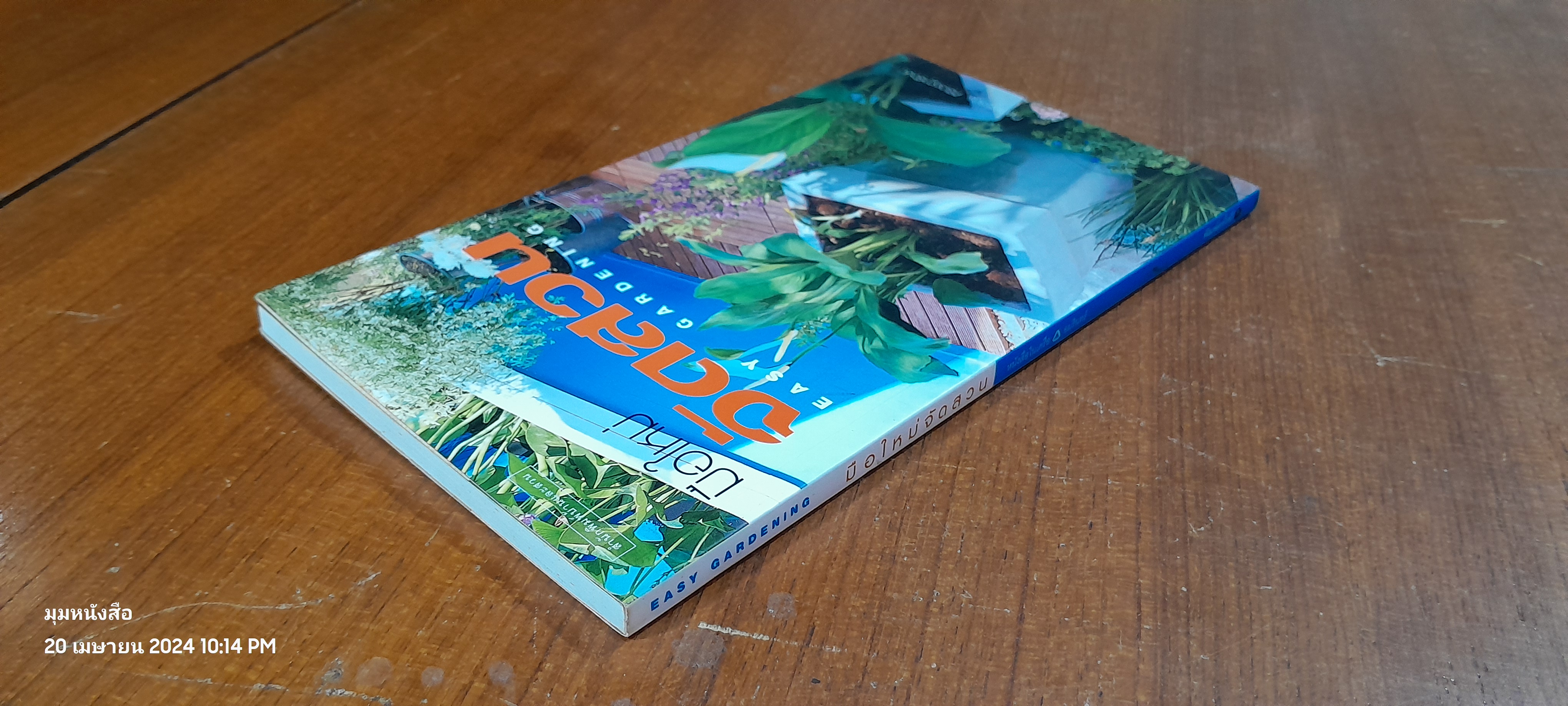 มือใหม่จัดสวน / ทิพาพรรณ ศิริเวชฏารักษ์