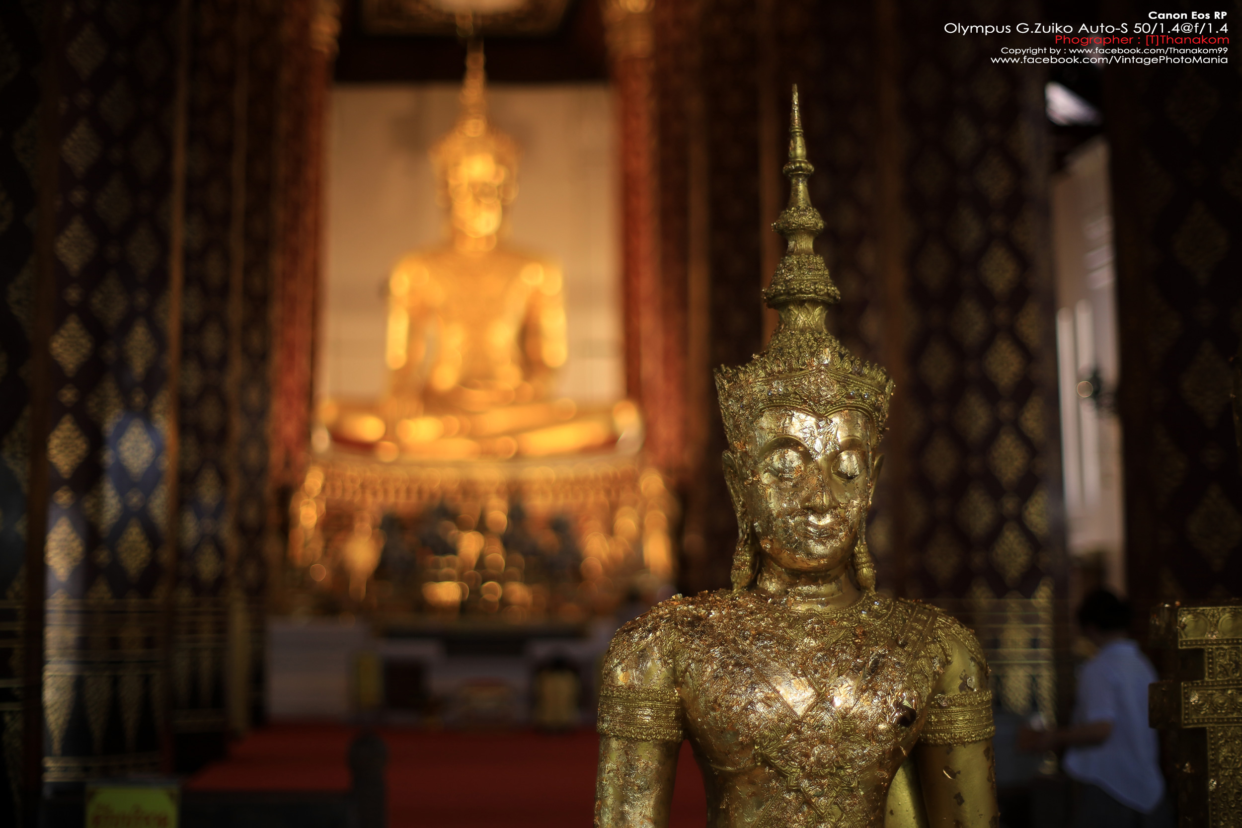 Olympus G.Zuiko Auto-S 50/1.4 *OM Mount เลนส์ไวแสงละลายฉากหลังสวย