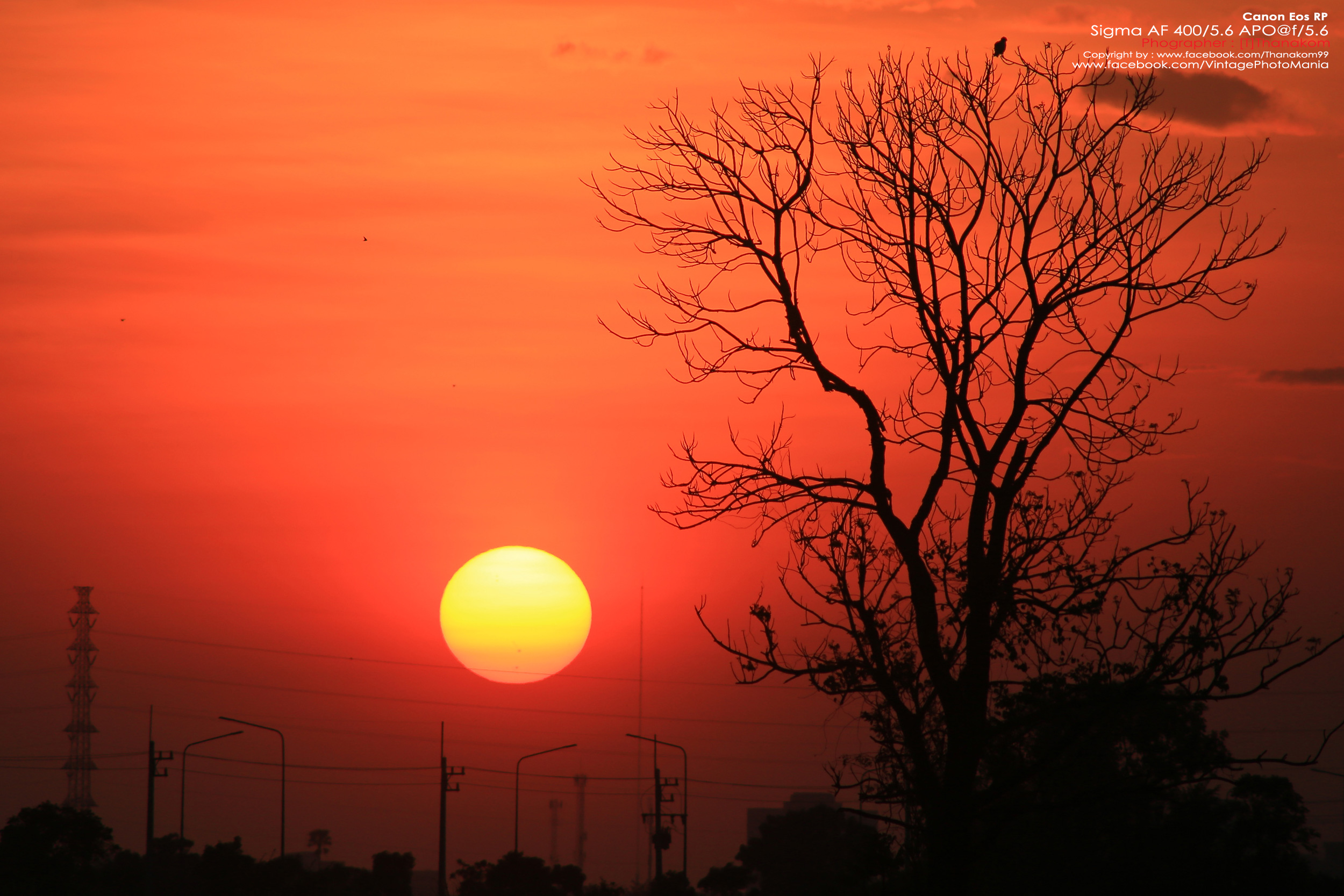 Sigma AF 400/5.6 *Nikon AF-D Mount เลนส์ซูมซูเปอร์เทเลสายถ่ายนกเอฟกว้าง