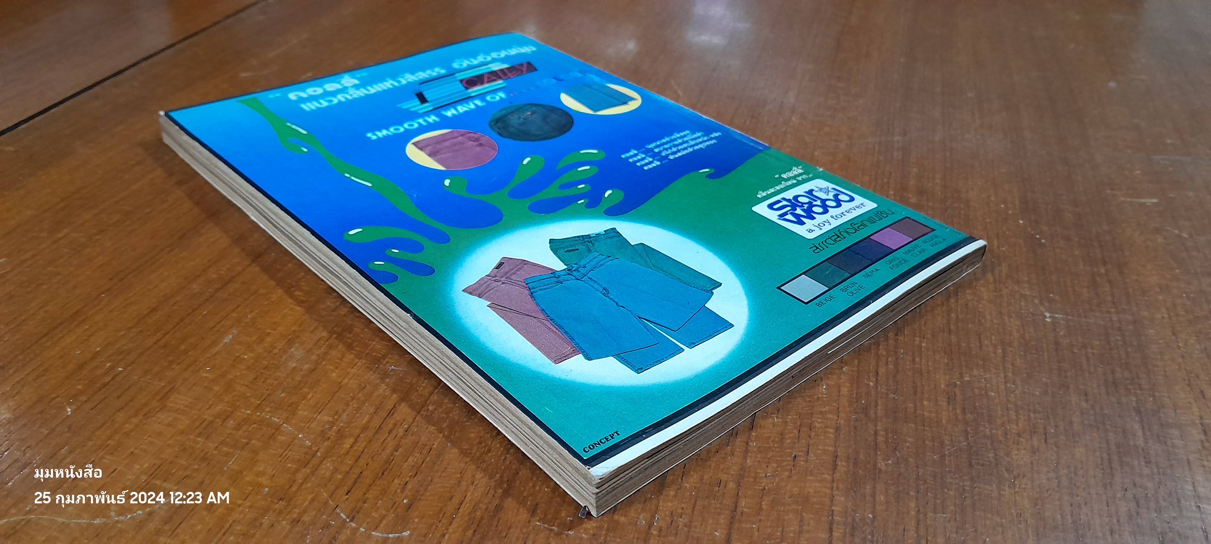 หนุ่มสาว (ฉบับมินิ 15)