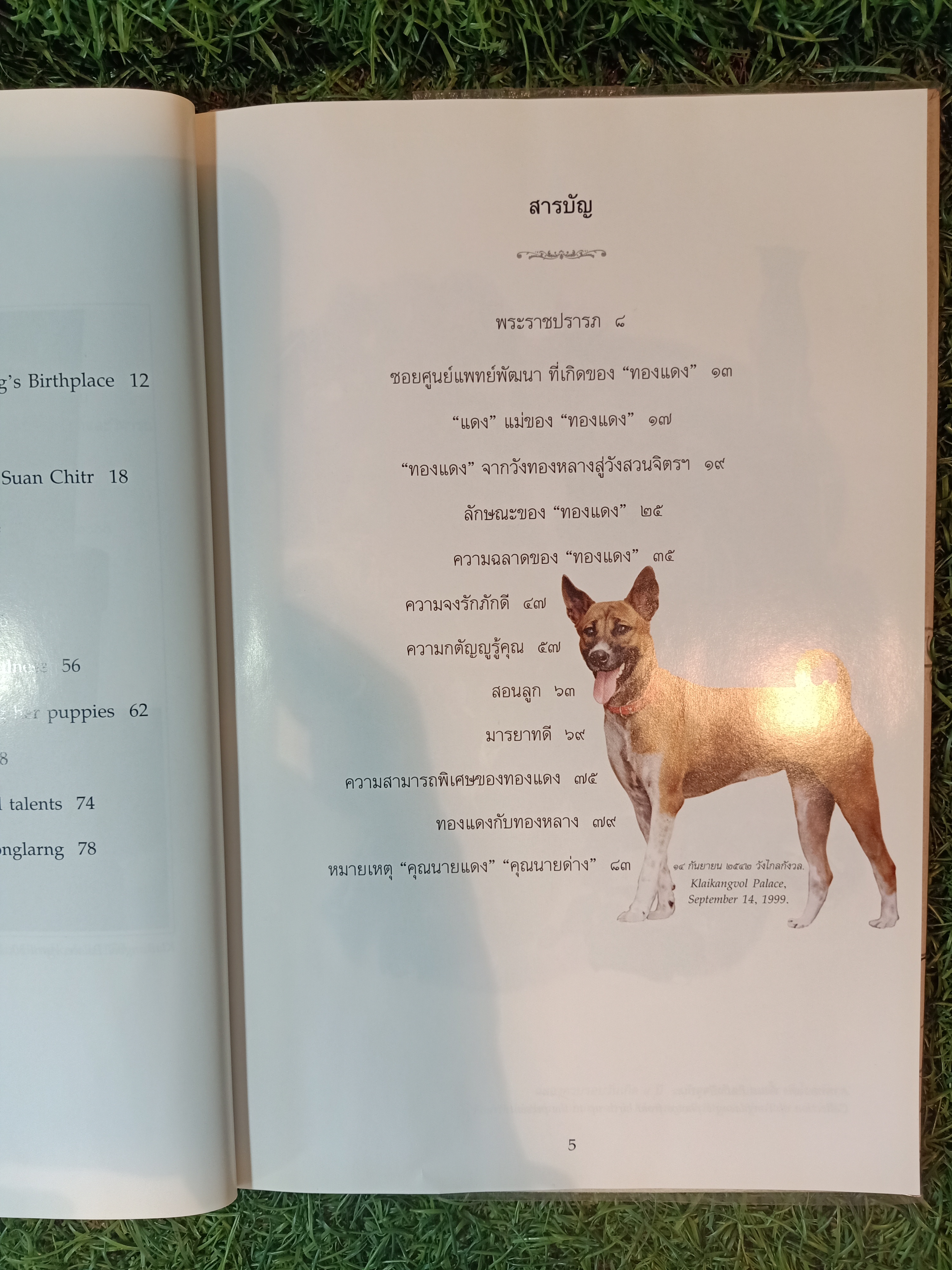 พระราชนิพนธ์ พระบาทสมเด็จพระเจ้าอยู่หัวภูมิพลอดุลยเดช เรื่องทองแดง