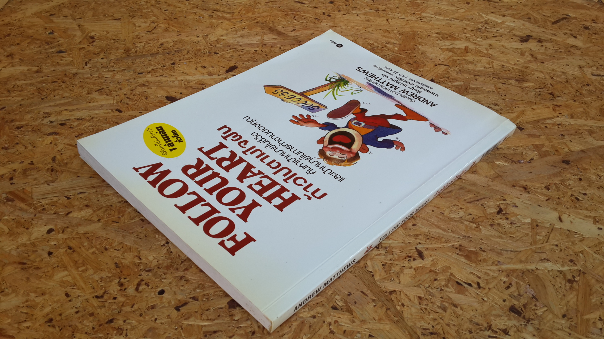 ก้าวไปตามใจฝัน / แอนดรูว์ แมตทิวส์