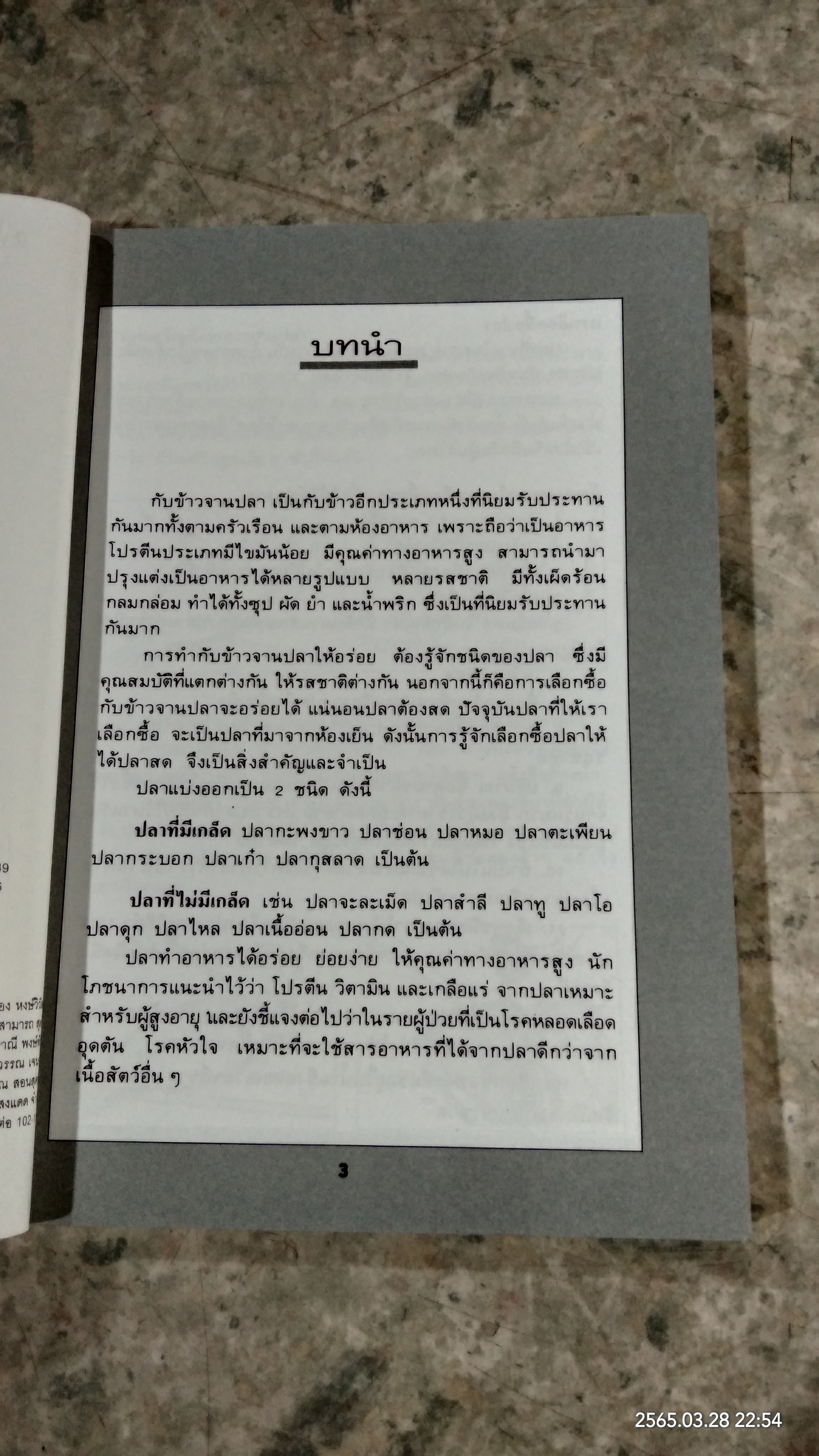 กับข้าวจานปลา / แสงแดด