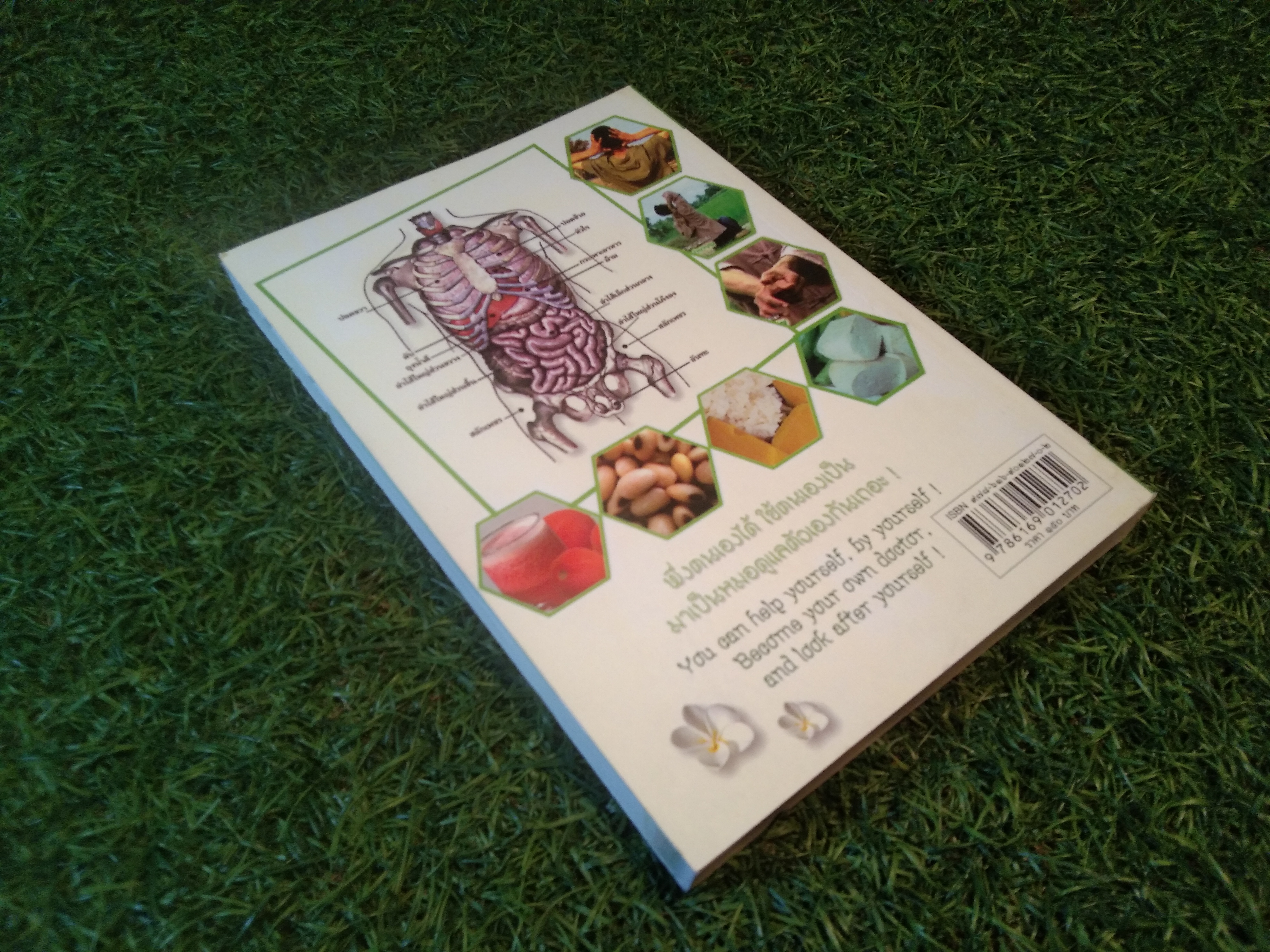 ถอดรหัสสุขภาพ เล่ม 3 มาเป็นหมอดูเเลตัวเองกันเถอะ / ใจเพชร กล้าจน