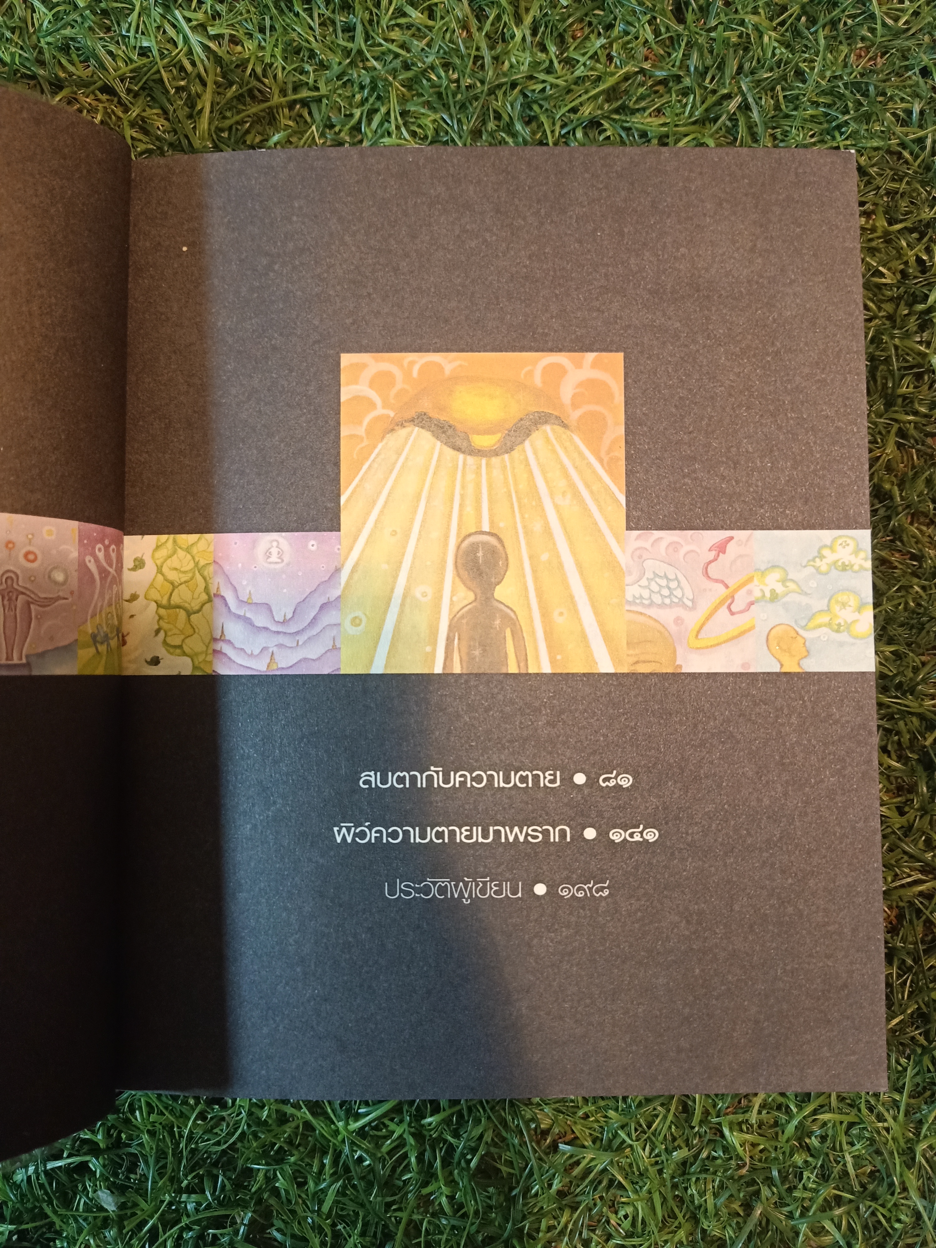 สบตา กับความตาย / ว.วชิรเมธี