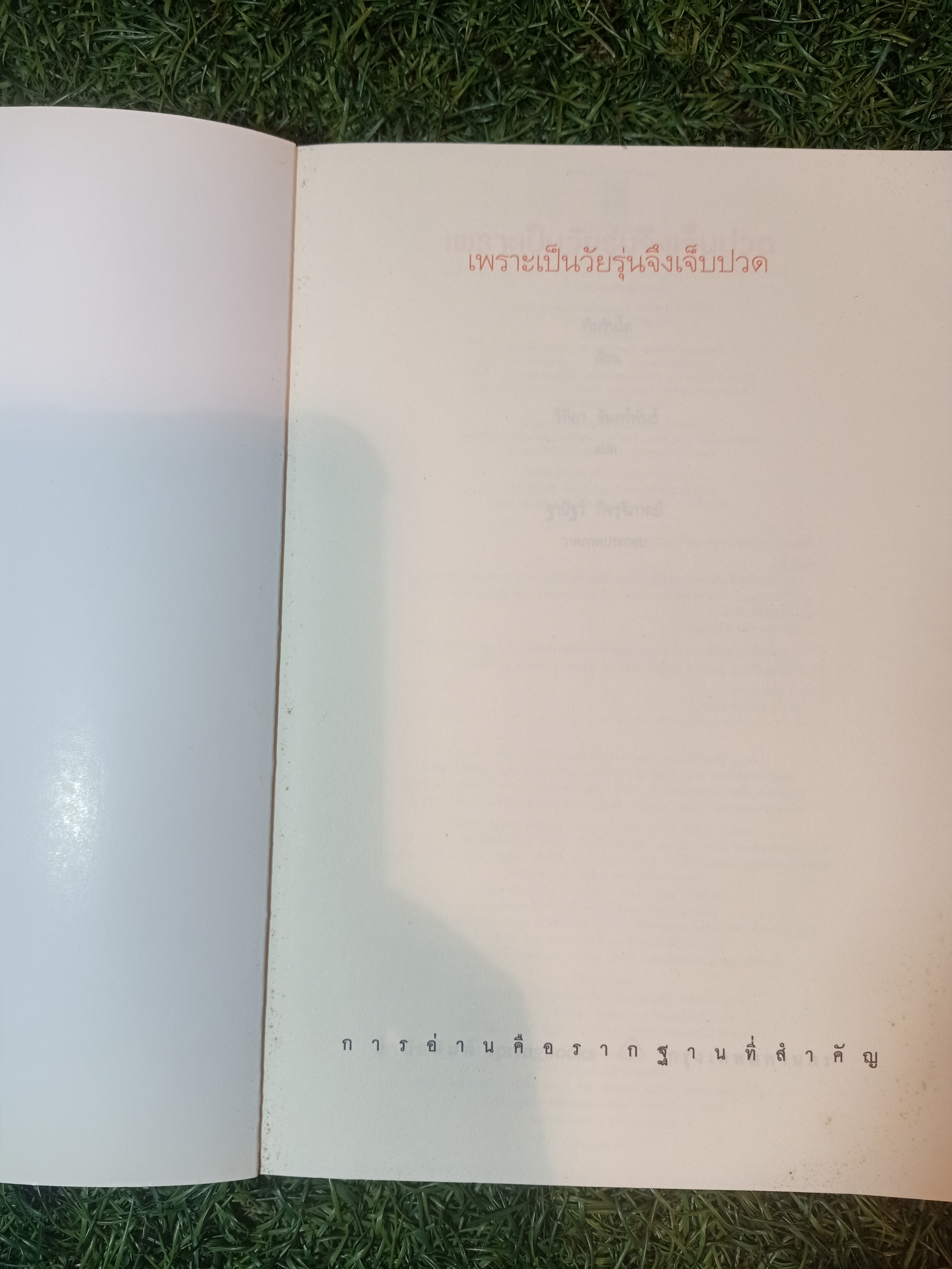เพราะ เป็นวัยรุ่น จึงเจ็บปวด / คิมรันโด เขียน วิทิยา จันทร์พันธ์ แปล