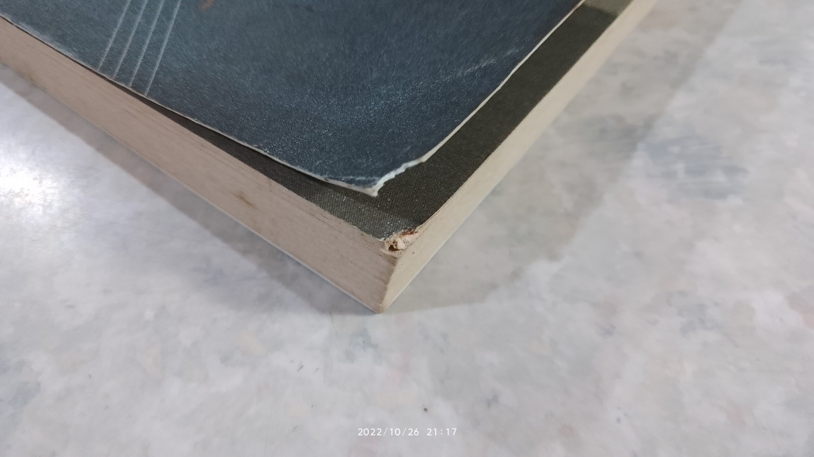 ทูร่าไดอารี่ / วิทยา ทองสุข แปล