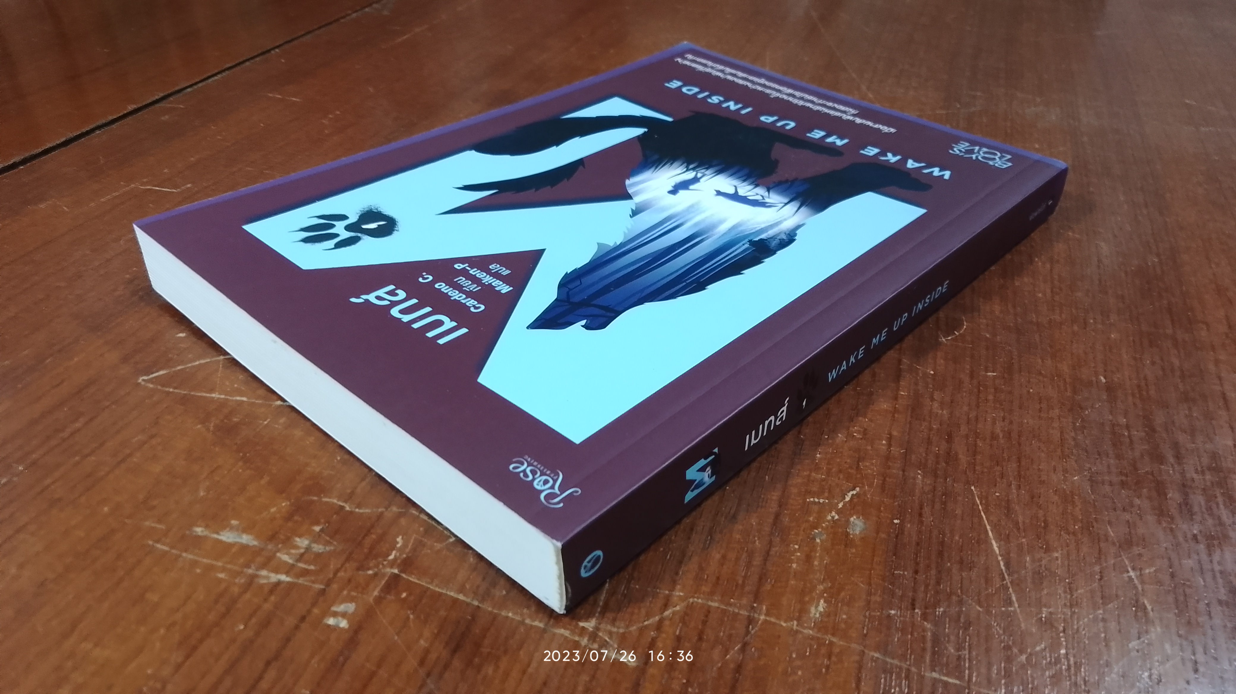 เมทส์ 1 : Wake Me Up Inside / คาร์ดีโน ซี.