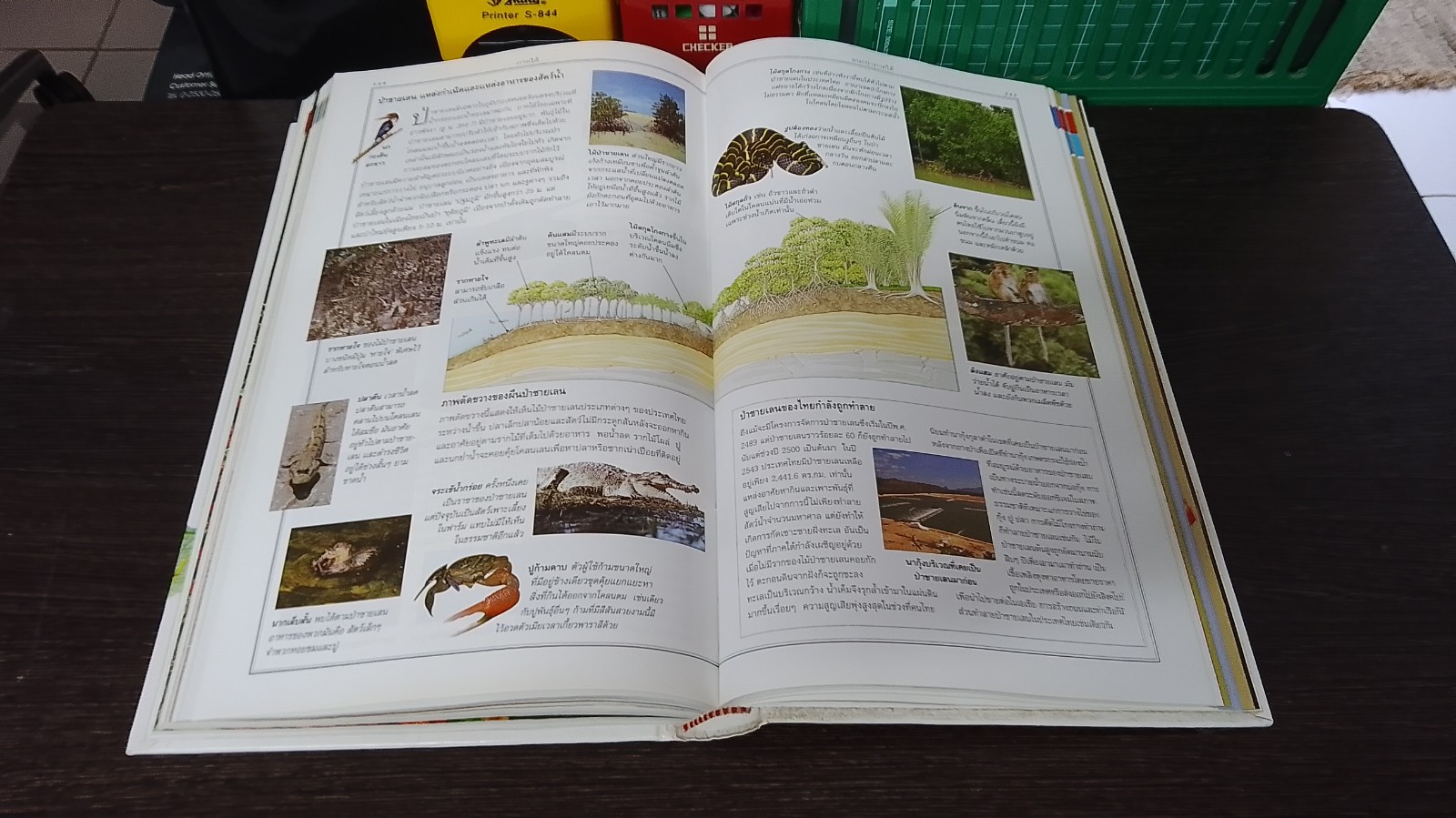 คู่มือท่องเที่ยว : เที่ยวเมืองไทย / รีดเดอร์ส ไดเจสท์