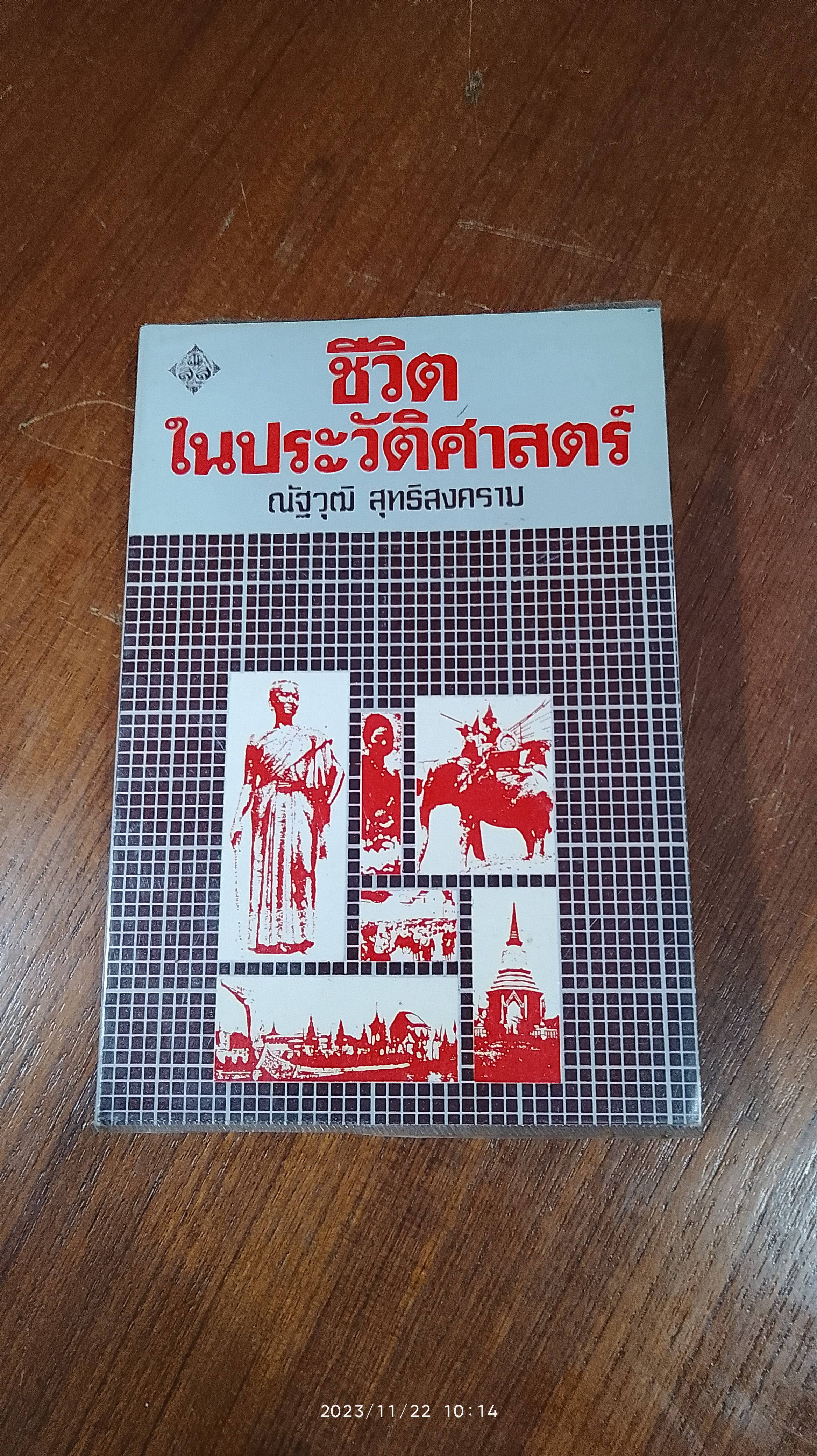 ชีวิตในประวัติศาสตร์ / ณัฐวุฒิ สุทธิสงคราม