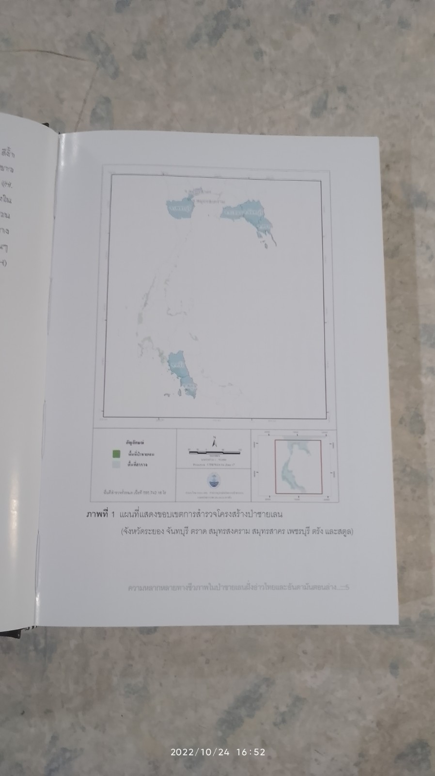 ความหลากหลายทางชีวภาพในป่าชายเลน ฝั่งอ่าวไทยและอันดามันตอนล่าง