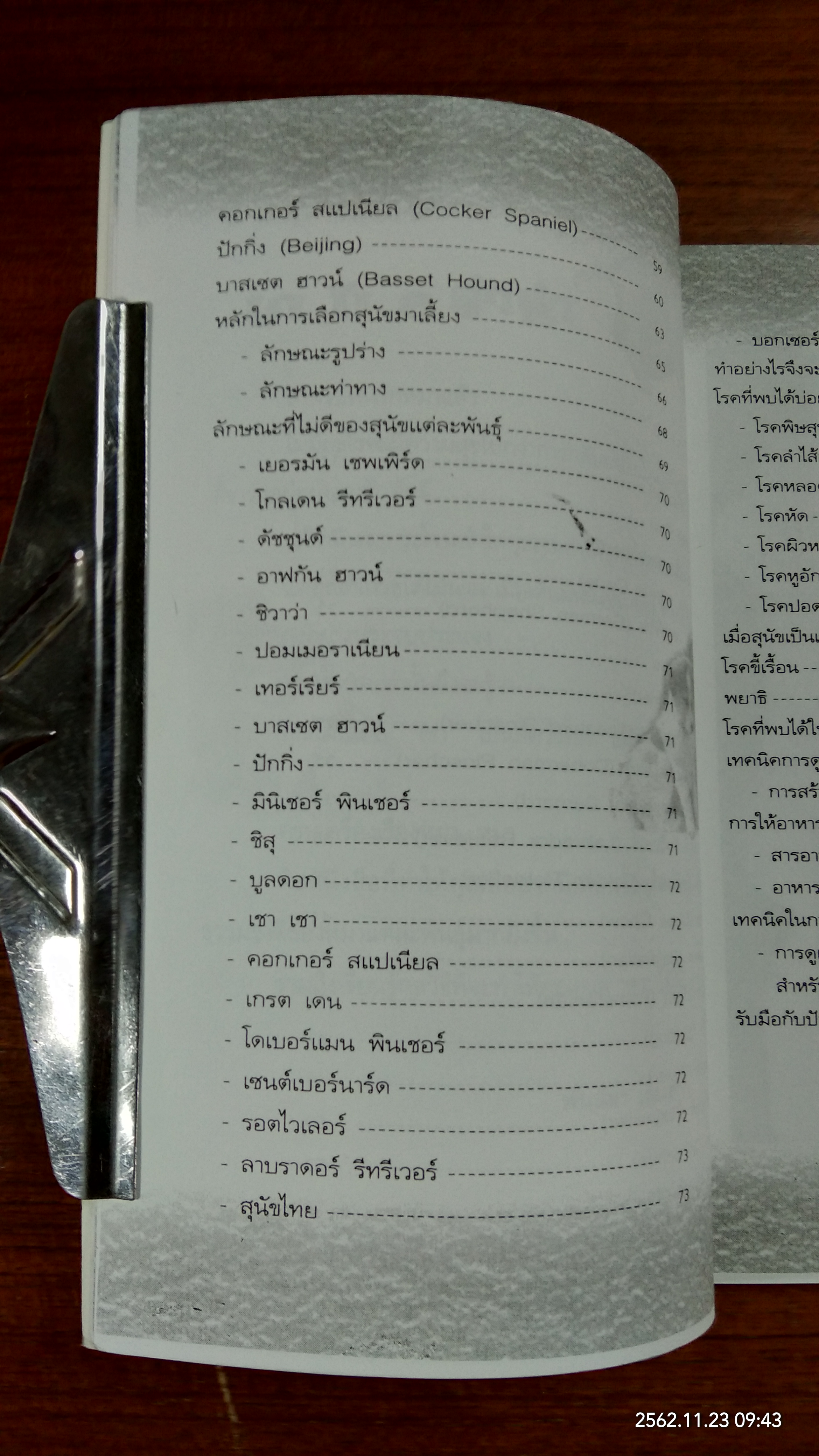 ครบเครื่องเรื่องหมา...หมา / พันนิตา เรืองสกุล