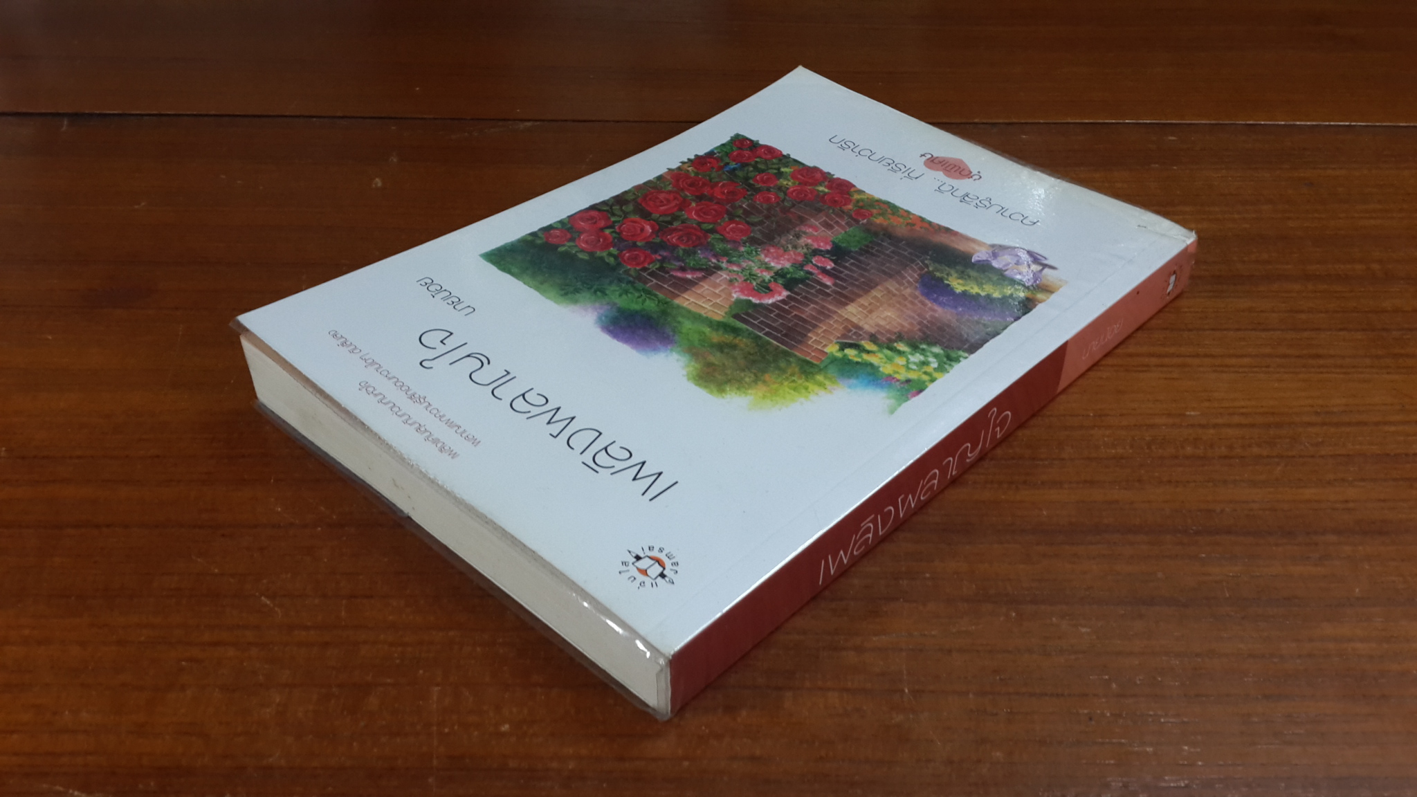 เพลิงผลาญใจ / นายน้อย