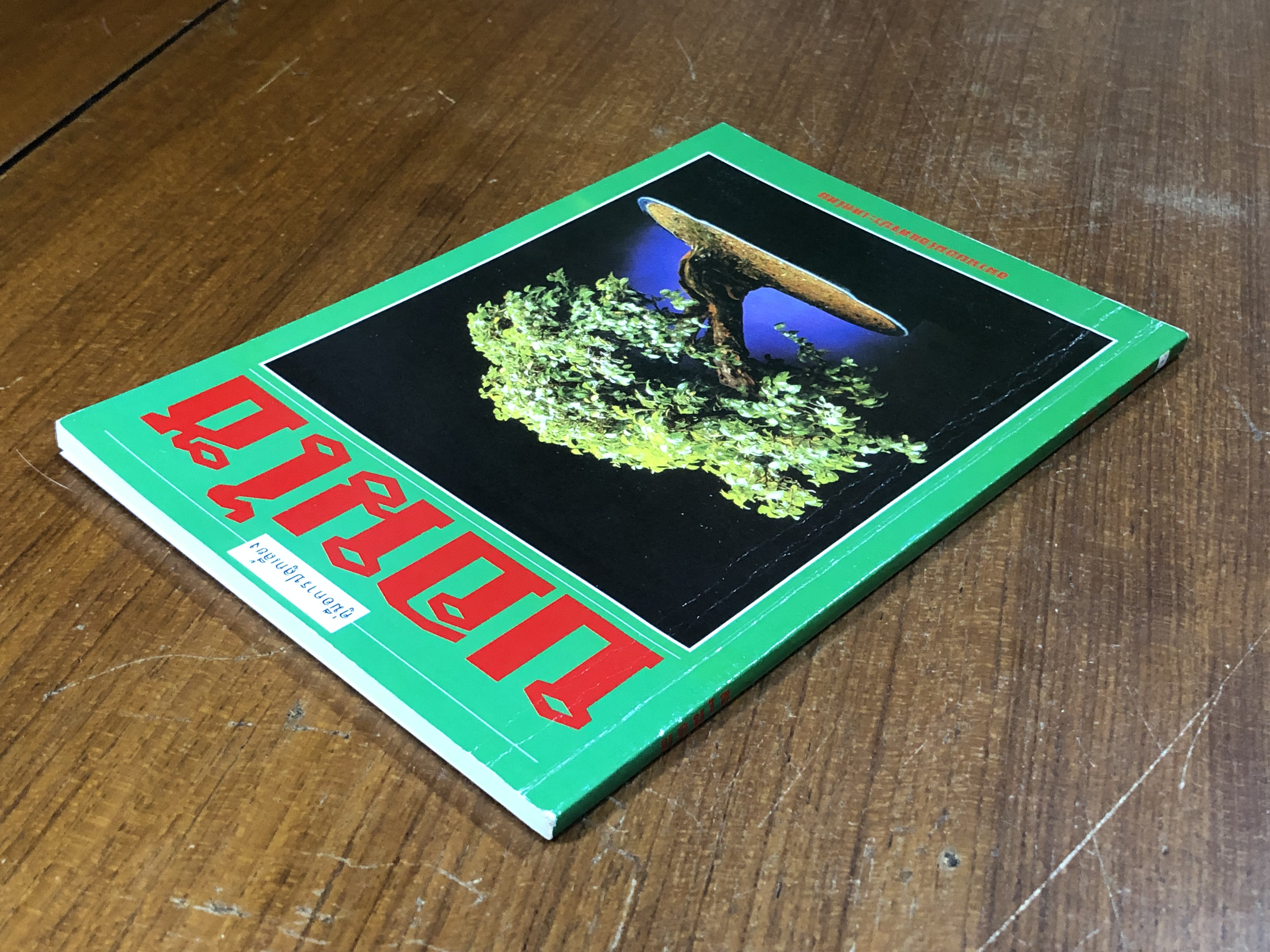 บอนไซ / อ.สมาน ศรีปราโมช