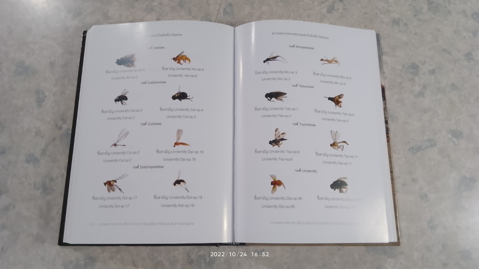 ความหลากหลายทางชีวภาพในป่าชายเลน ฝั่งอ่าวไทยและอันดามันตอนล่าง