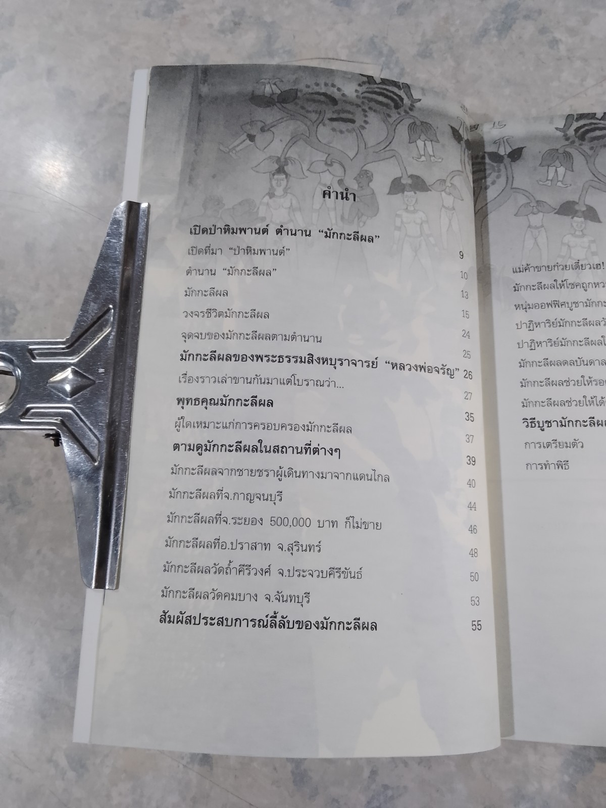 มักกะลีผล ศักดิ์สิทธิ์แห่งพุทธกาล จากหิมพานต์โภคทรัพย์ / อ.ยิ่งยศ วงศ์อำมาตย์