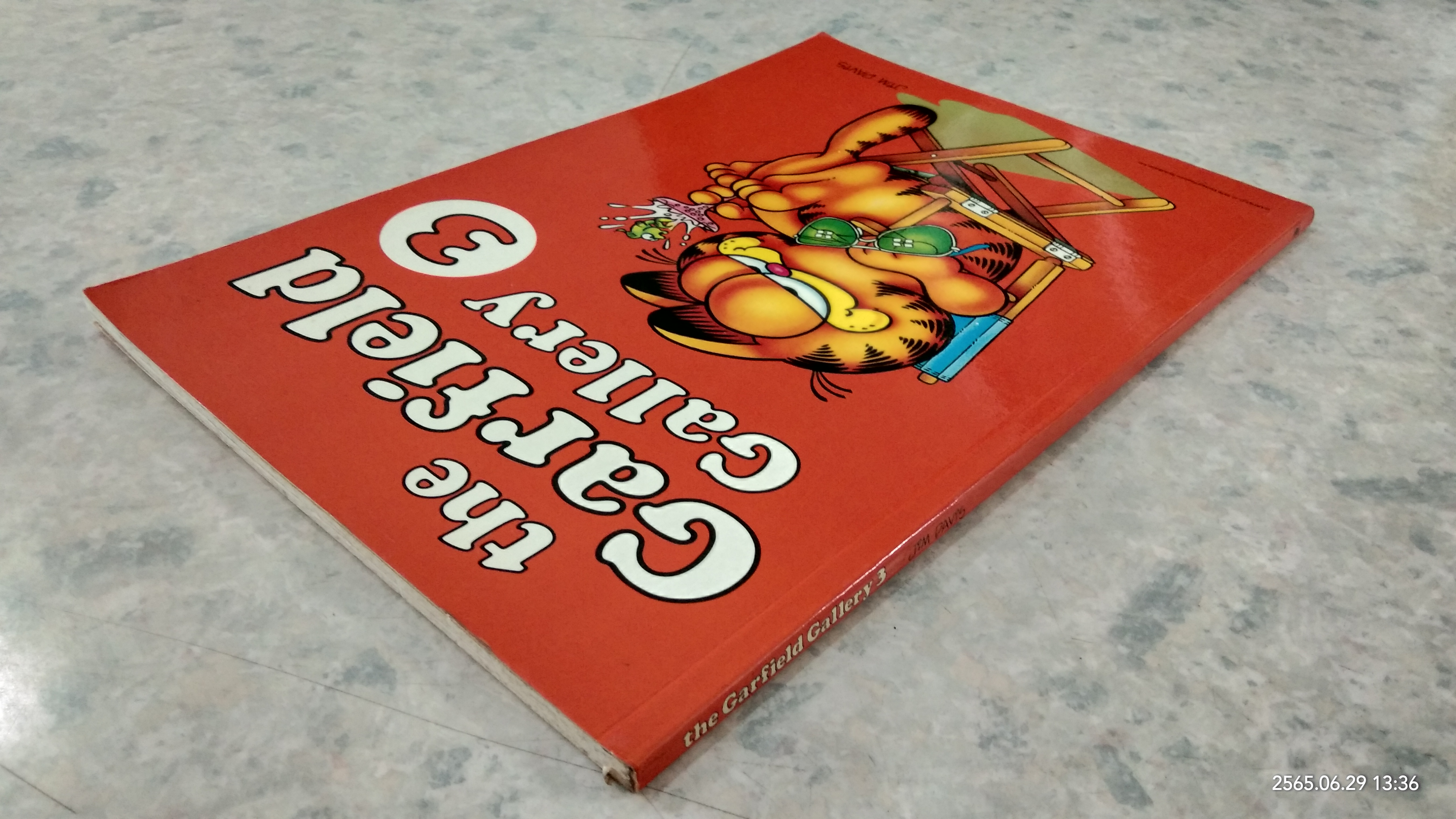 the Garfield Gallery 23/ JiM DAViS