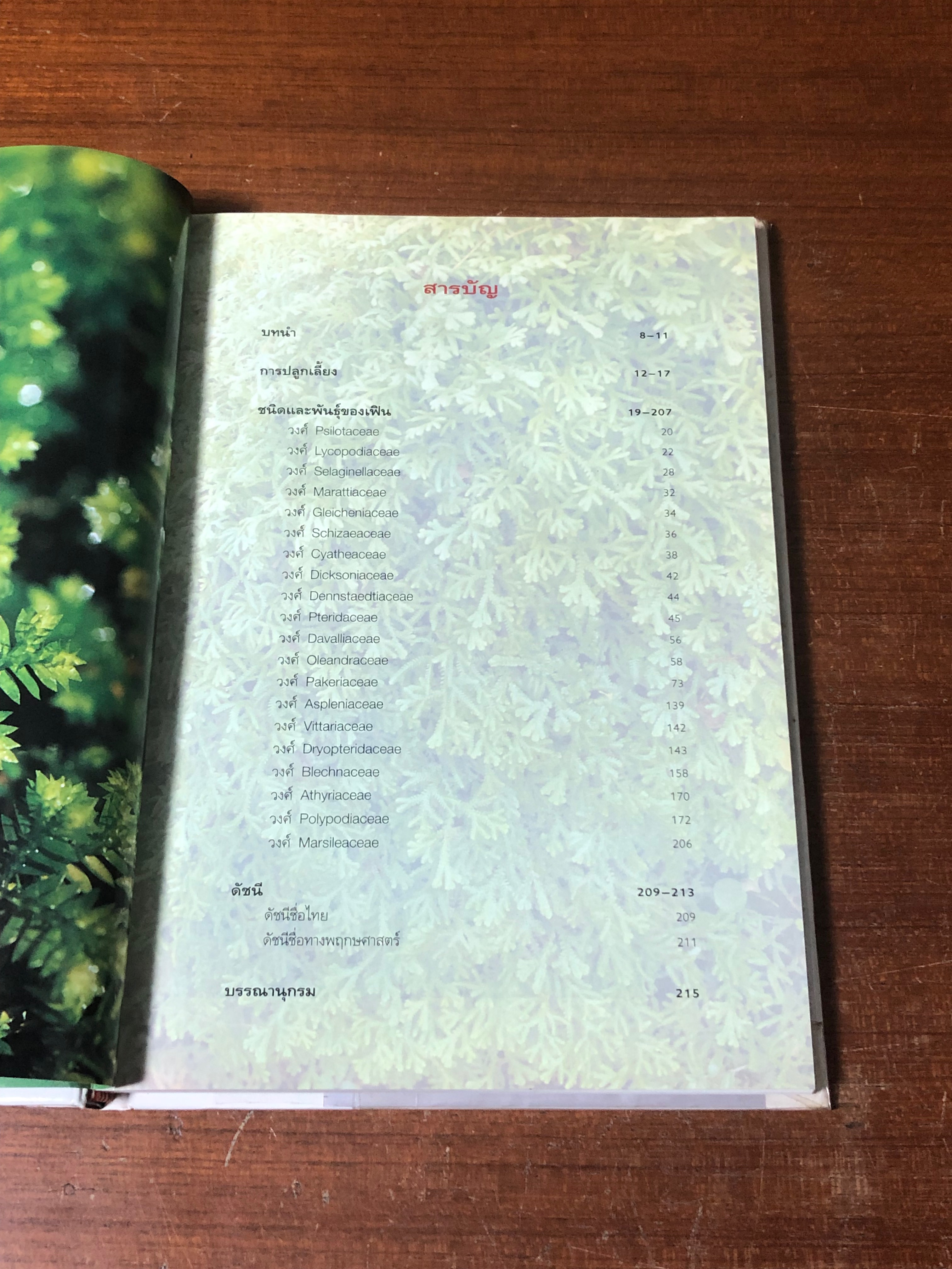 เฟิน : ต้นตระกูลไม้ประดับ / ม.ล.จารุพันธ์ ทองแถม