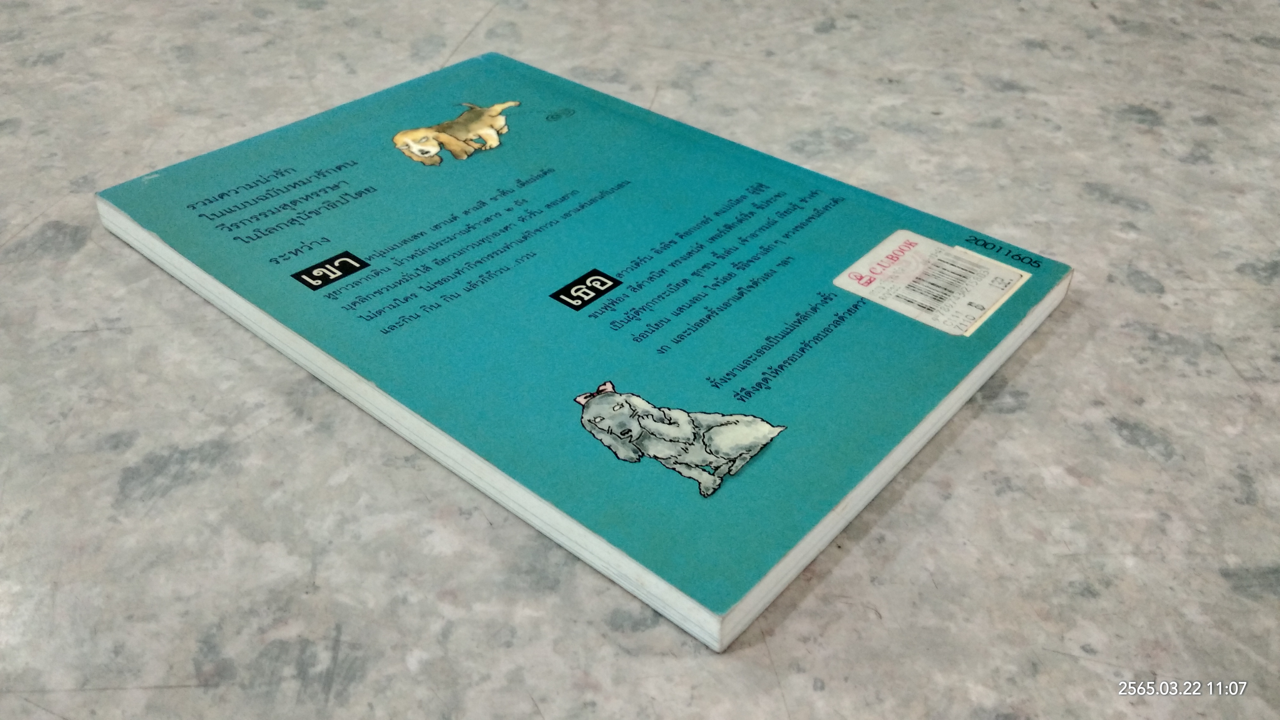 ดอกฟ้ากับหมาวัด / บัญชร ชวาลศิลป์