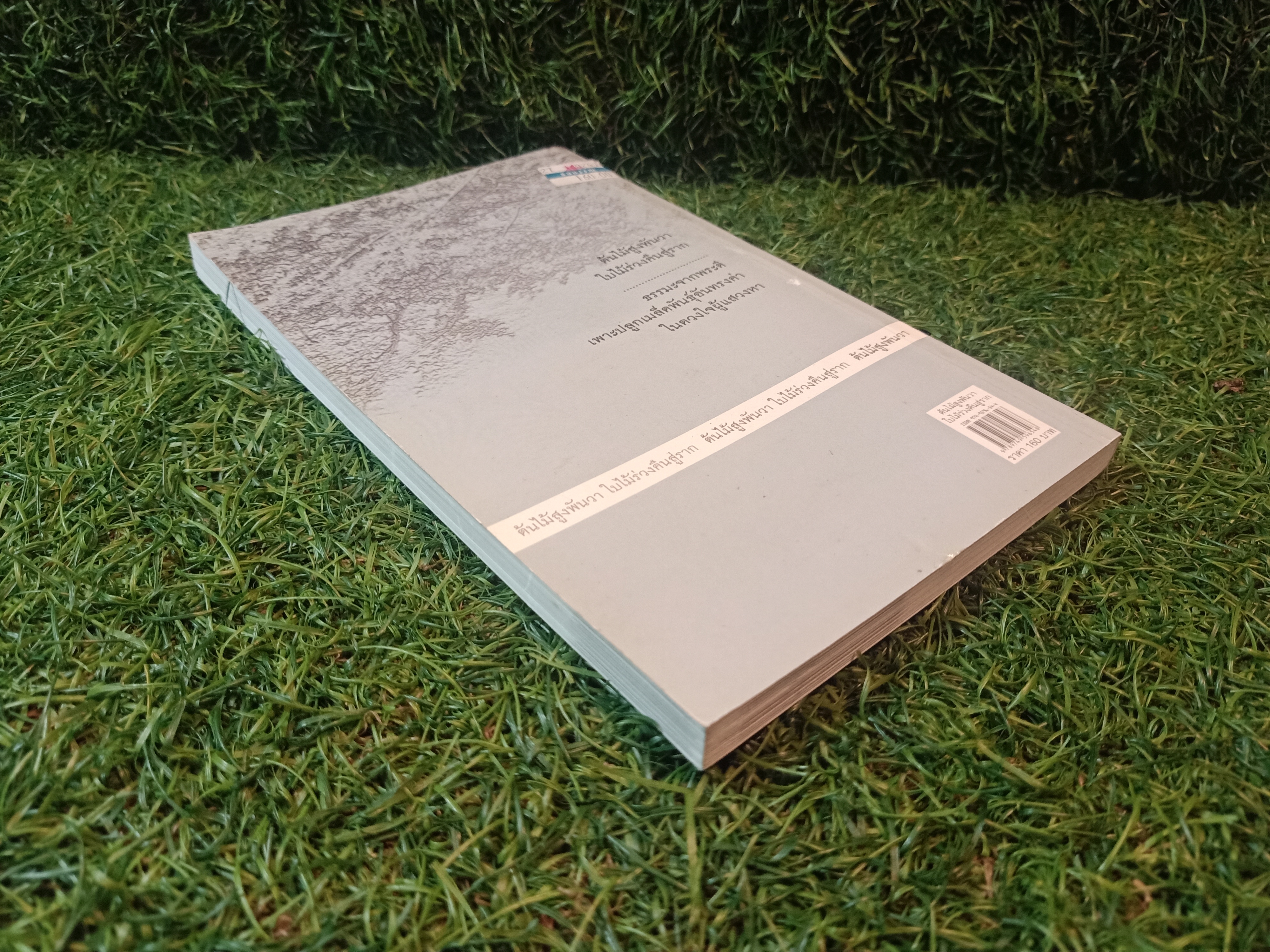 ต้นไม้สูงพันวา ใบไม้ร่วงคืนสู่ราก / พุทธทาสภิกขุ หลวงปู่บุดดาถาวโร หลวงปู่สิม พุทธาจาโร
