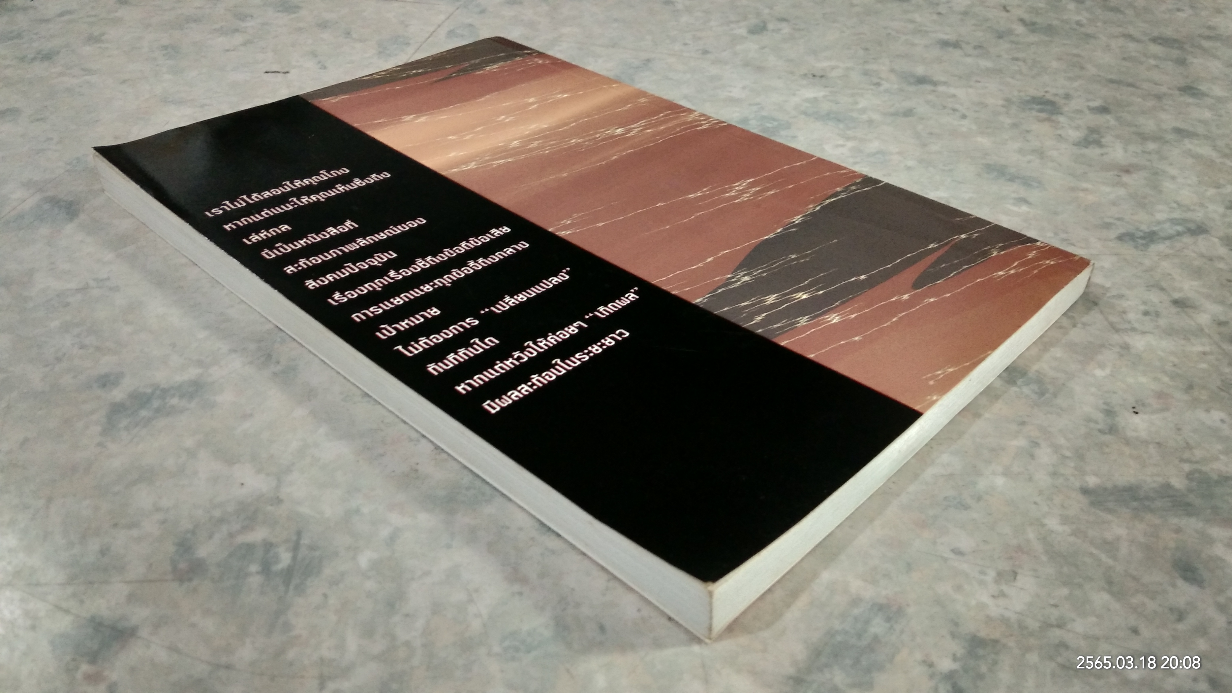 โคตรโกง / ใบไผ่เขียว